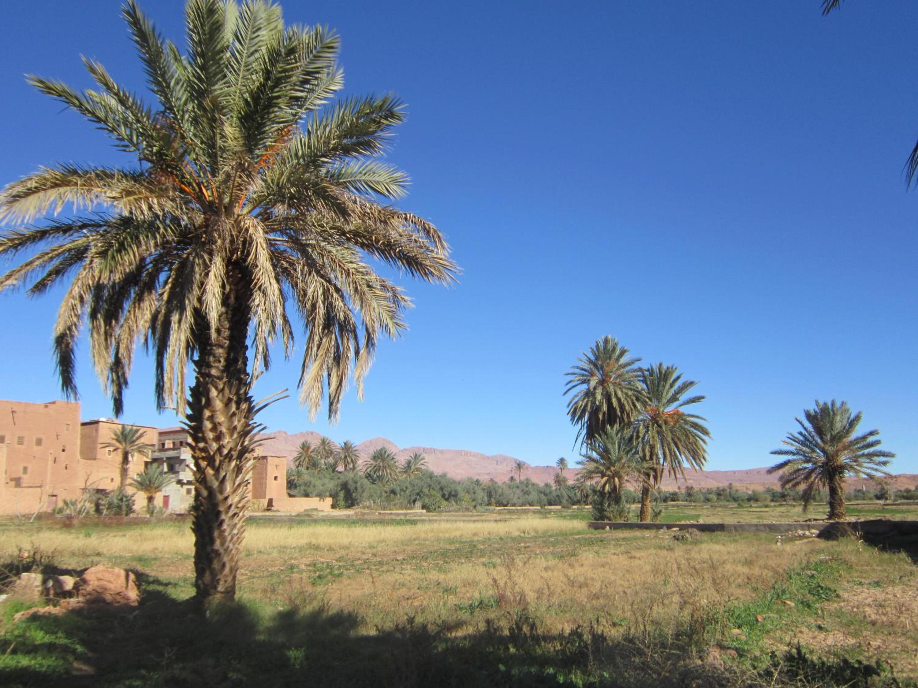 Riad Al Anwar