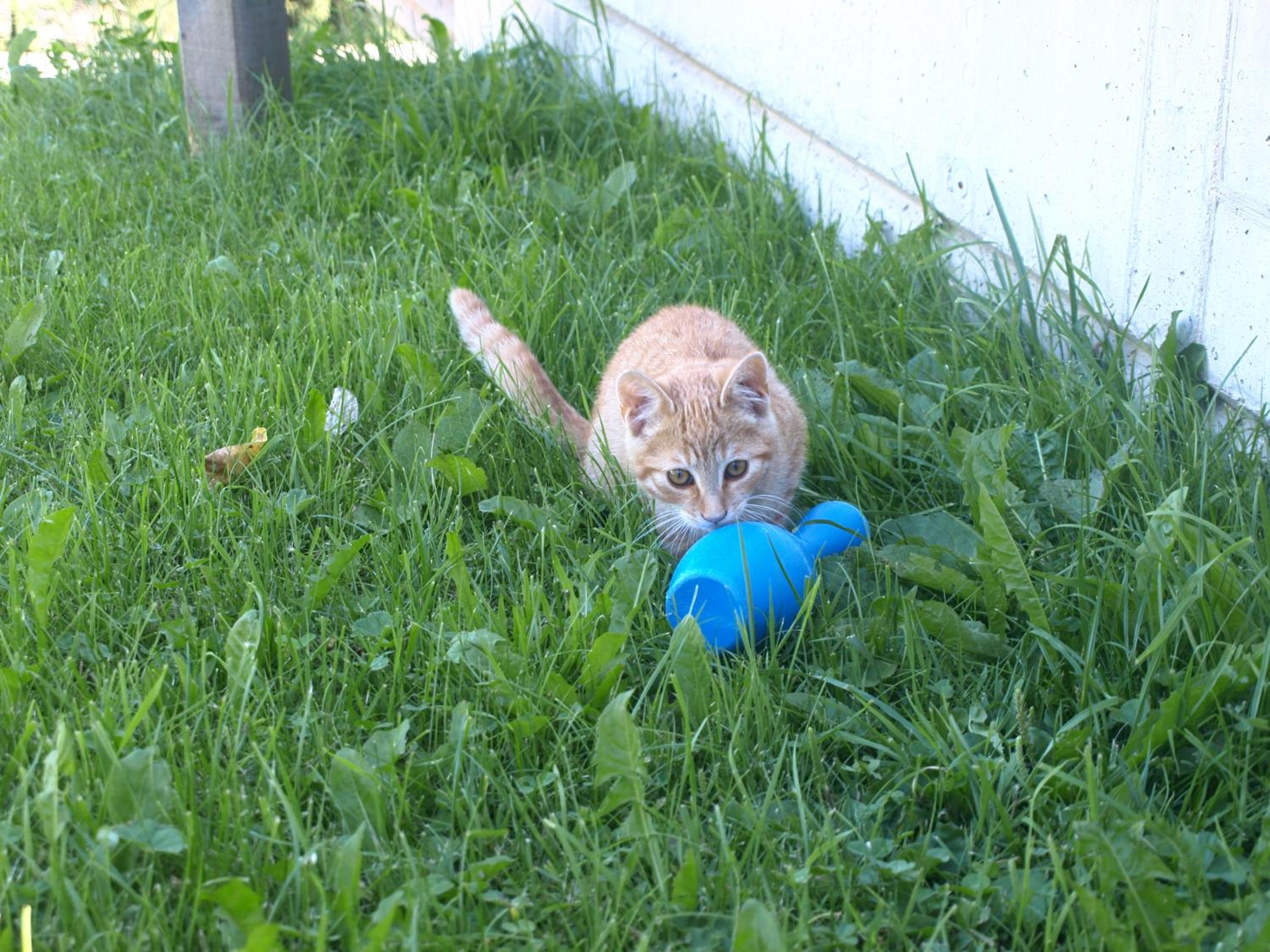 Photo 23
