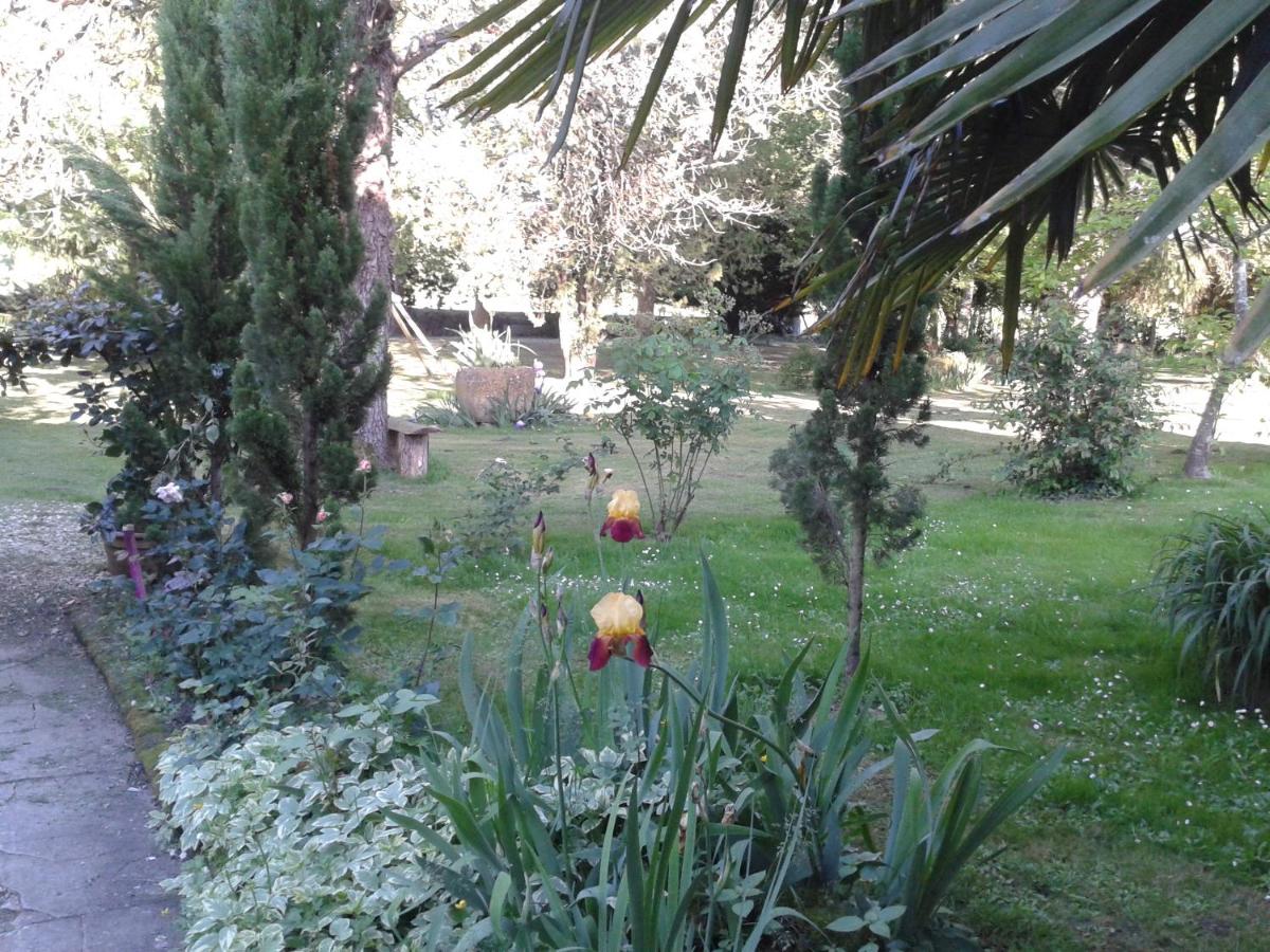 Photo 53