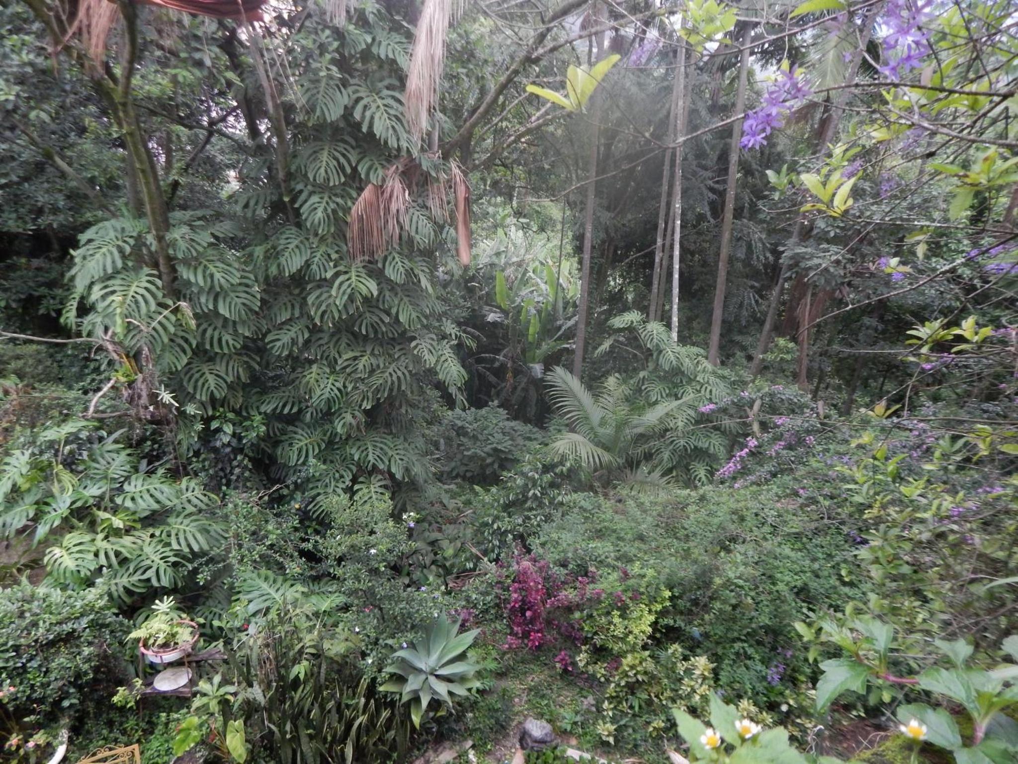 Pouso das Glicínias - B&B
