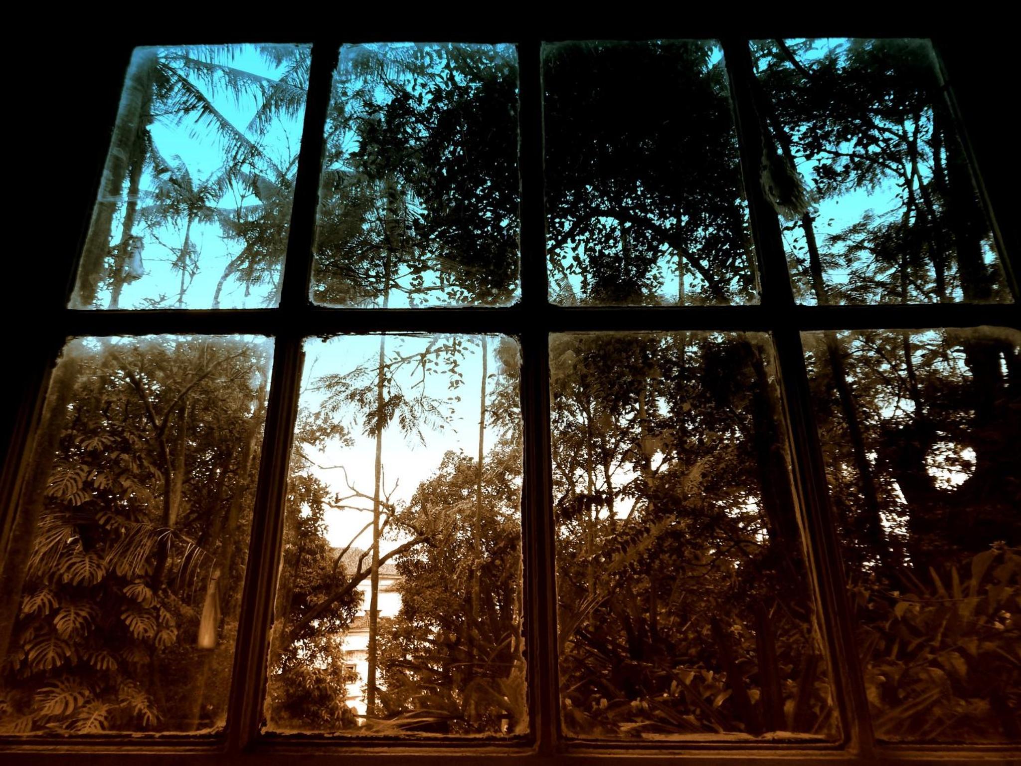 Pouso das Glicínias - B&B