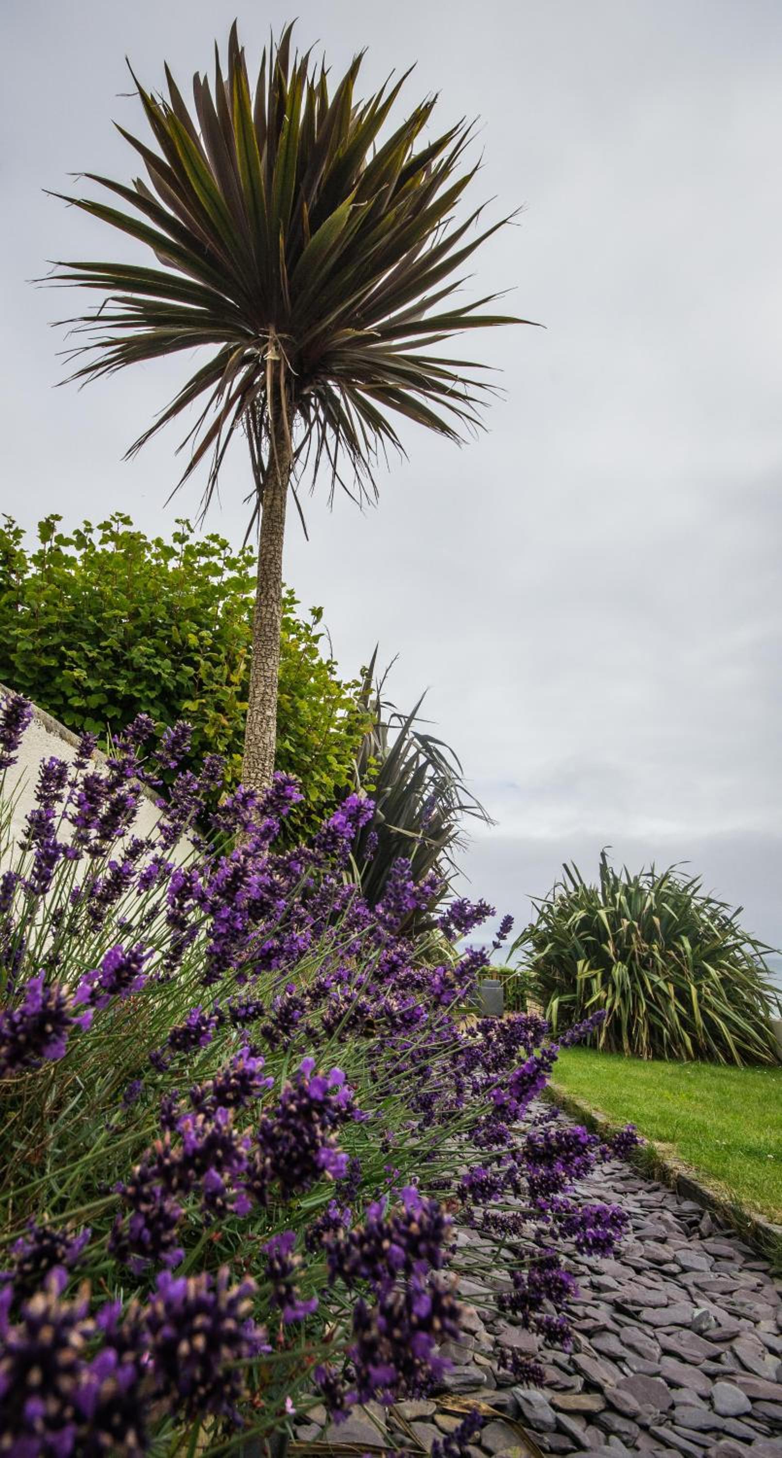 Atlantic Heights Guest House, photo 17