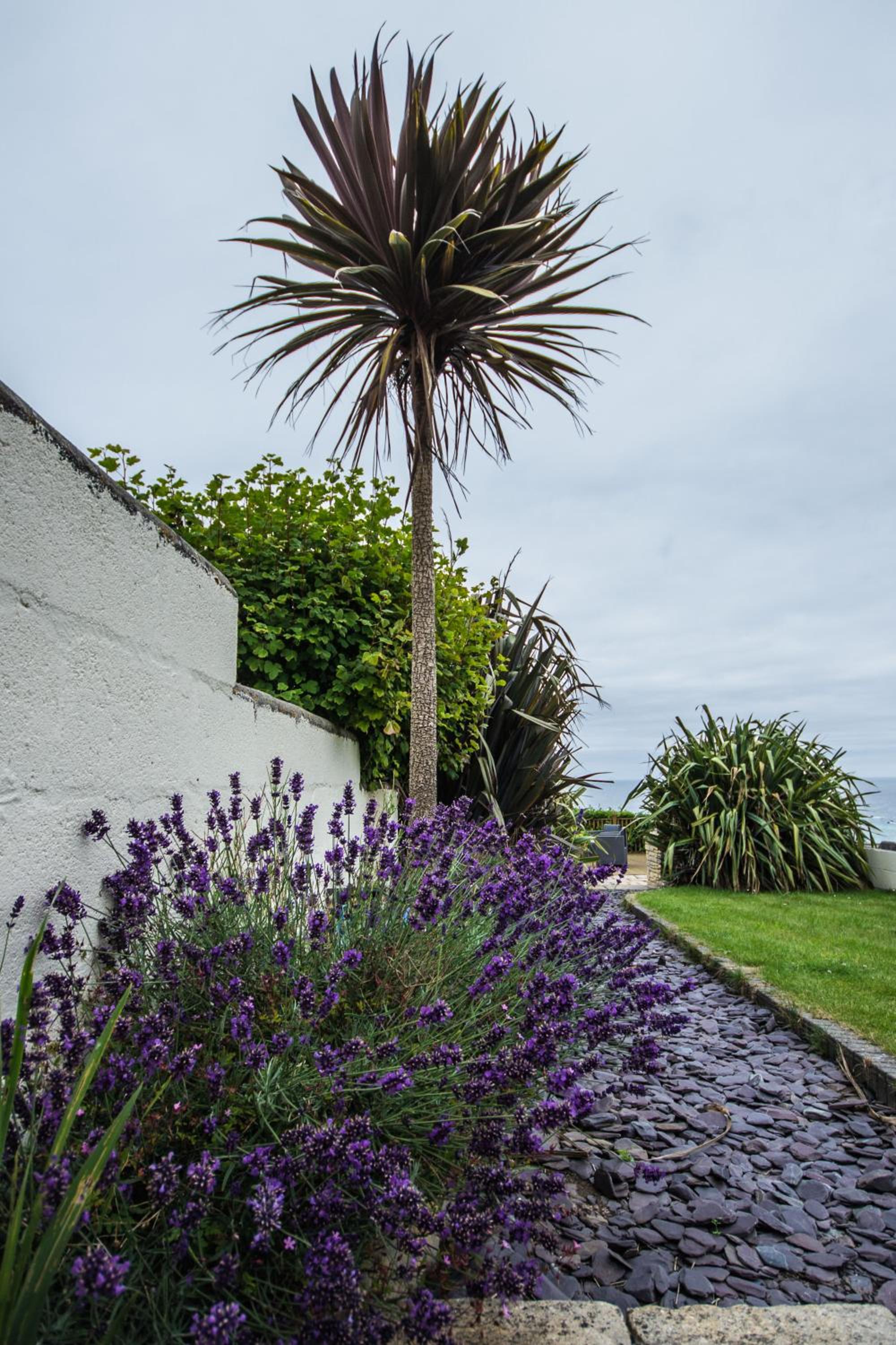 Atlantic Heights Guest House, photo 60
