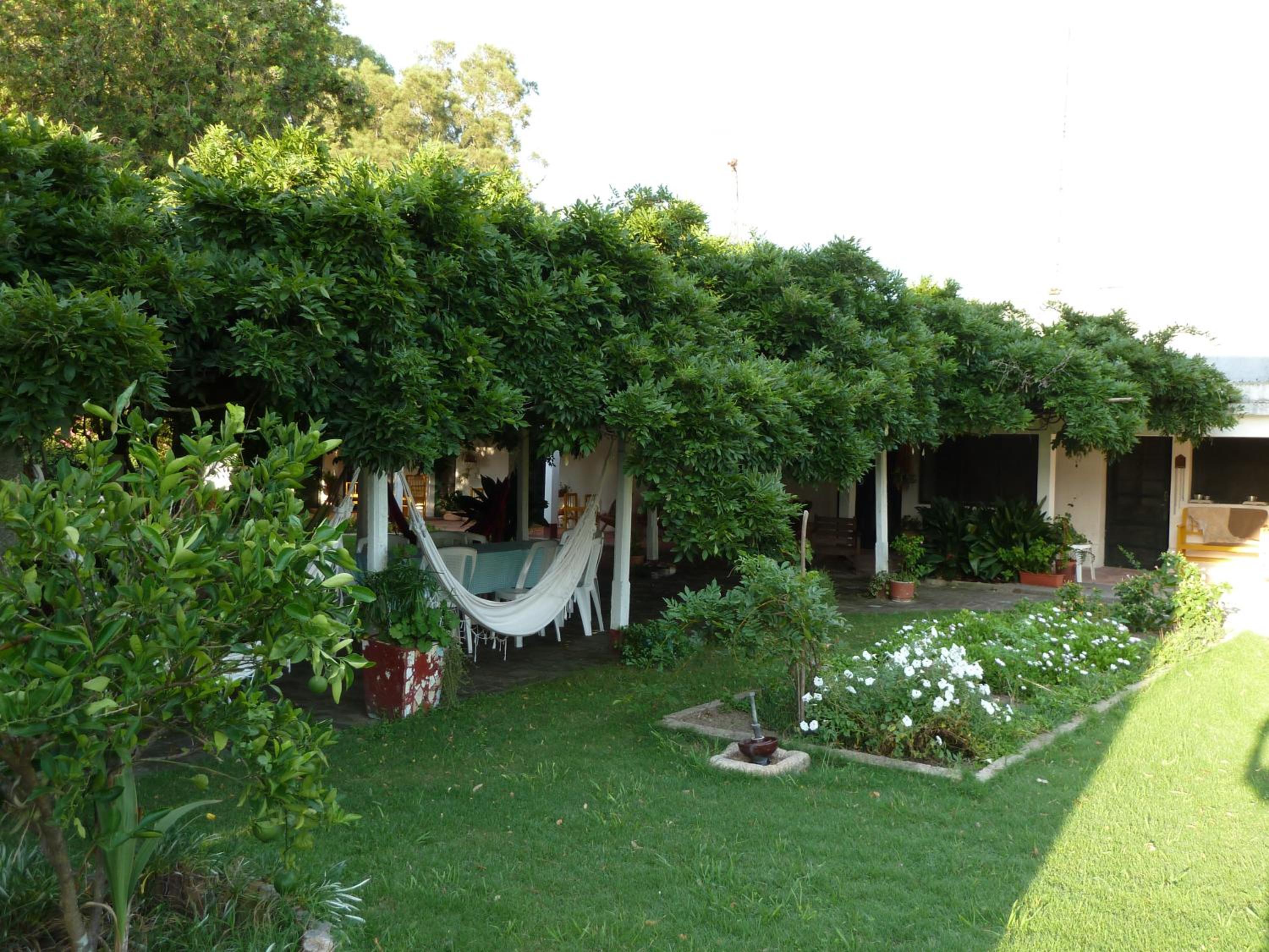 Photo 47