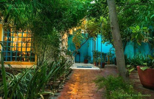 The Coral Tree Boutique Homestay