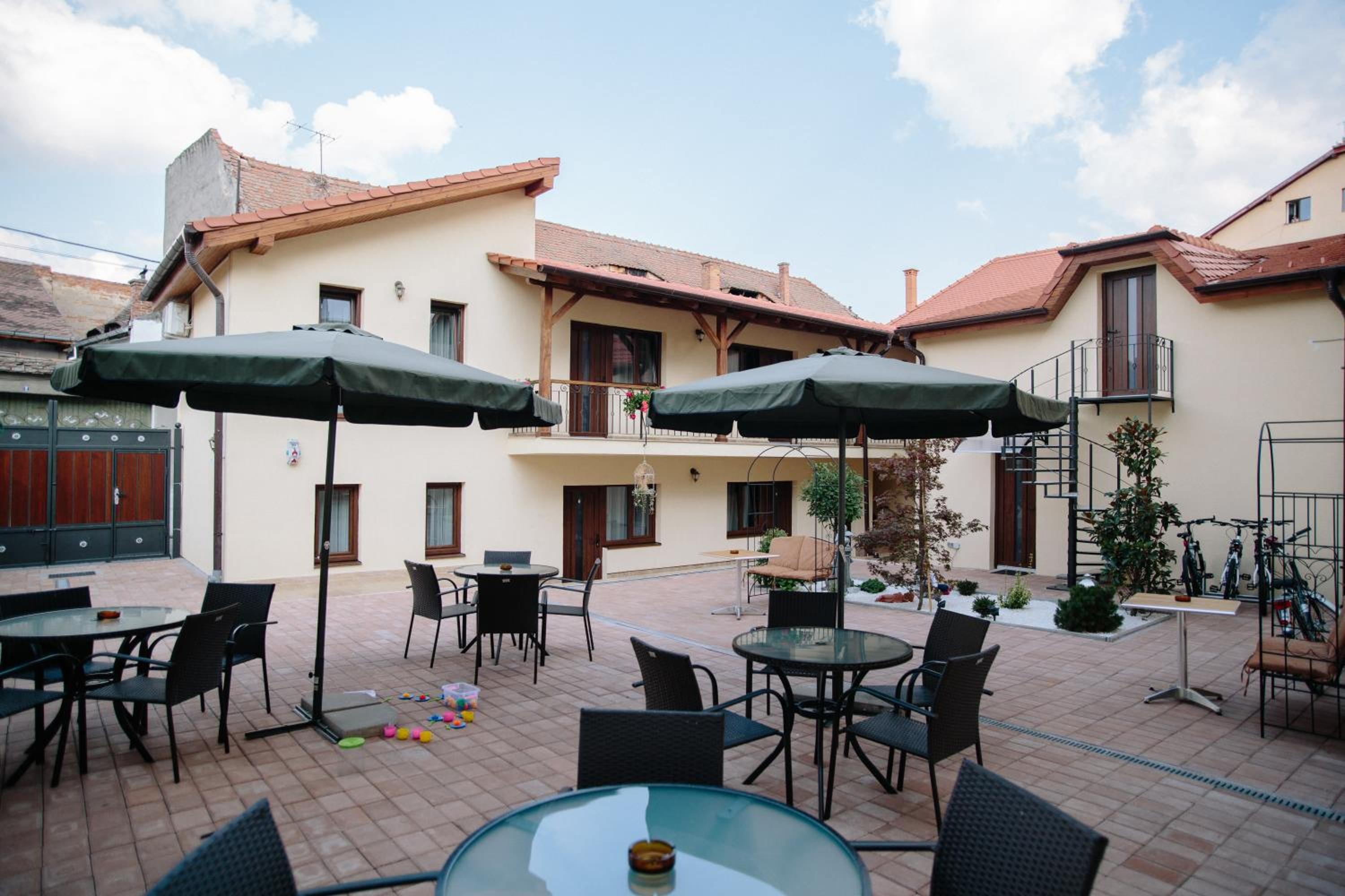 Rosen Villa Sibiu — photo 51