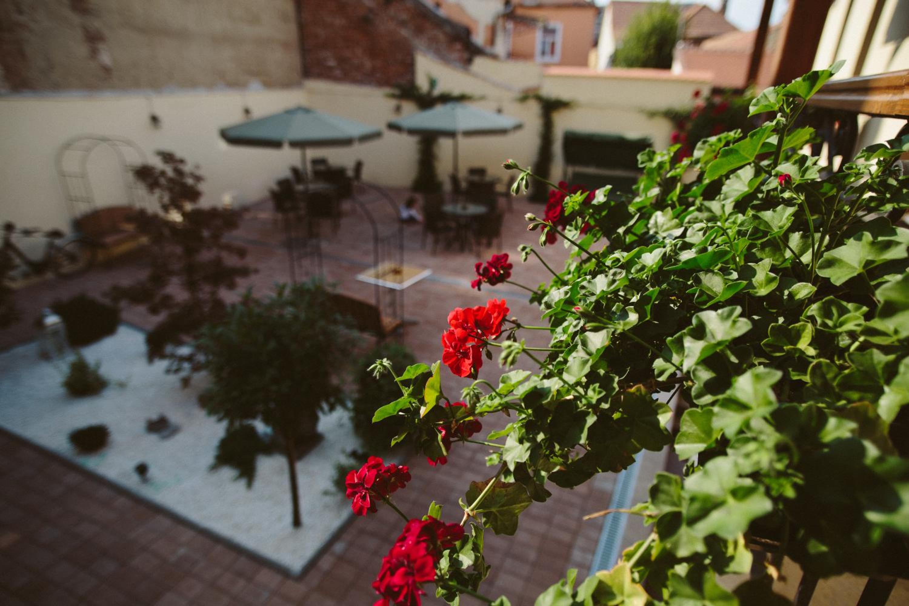 Rosen Villa Sibiu