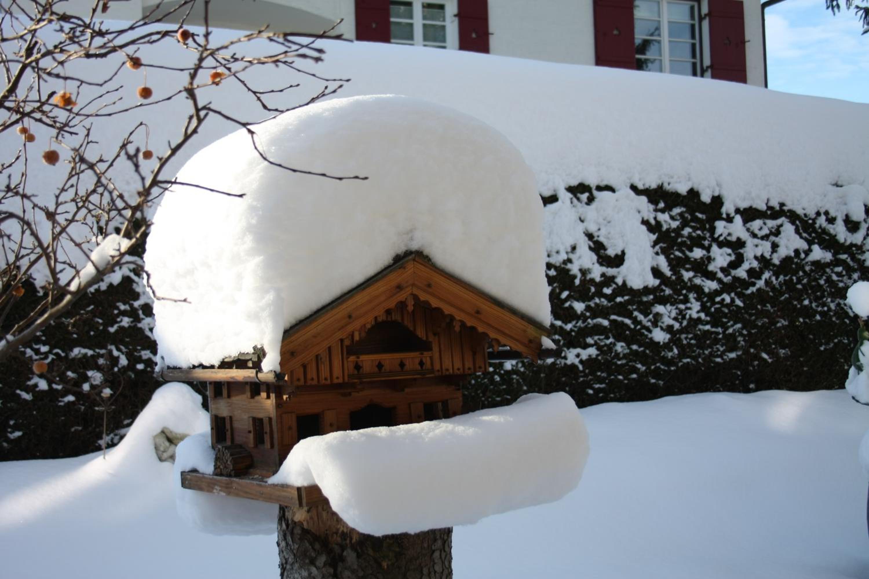 Pension Wendelstein - Property Image 12