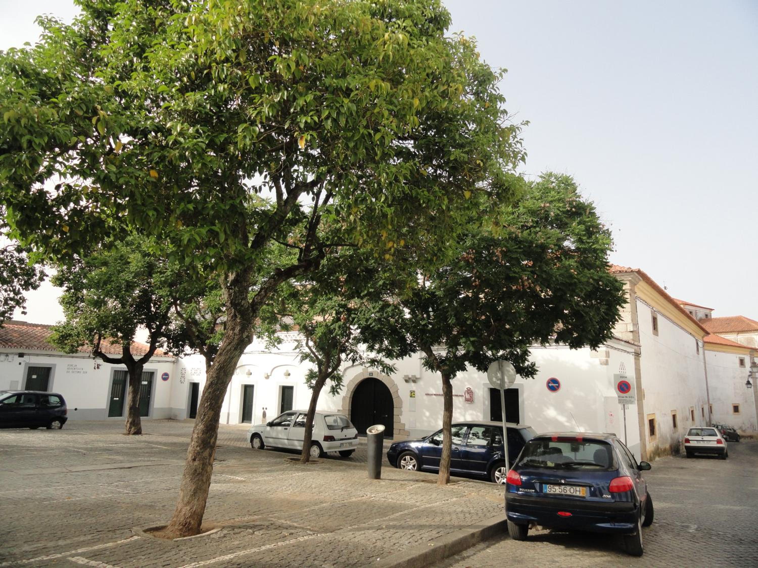 Casa do Escudeiro view 2