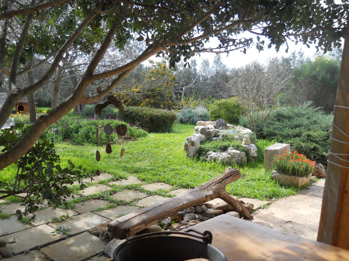 Photo 29