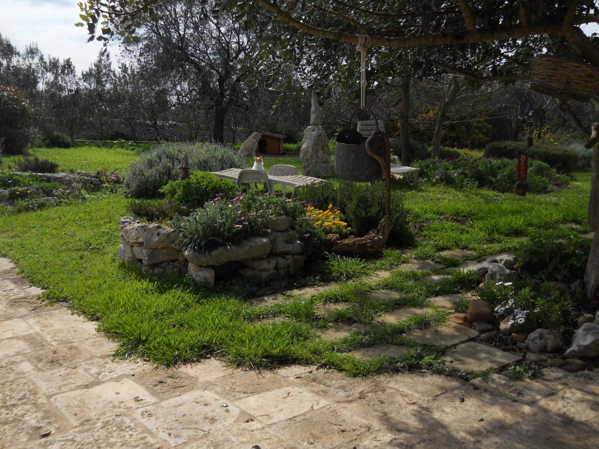 Photo 23