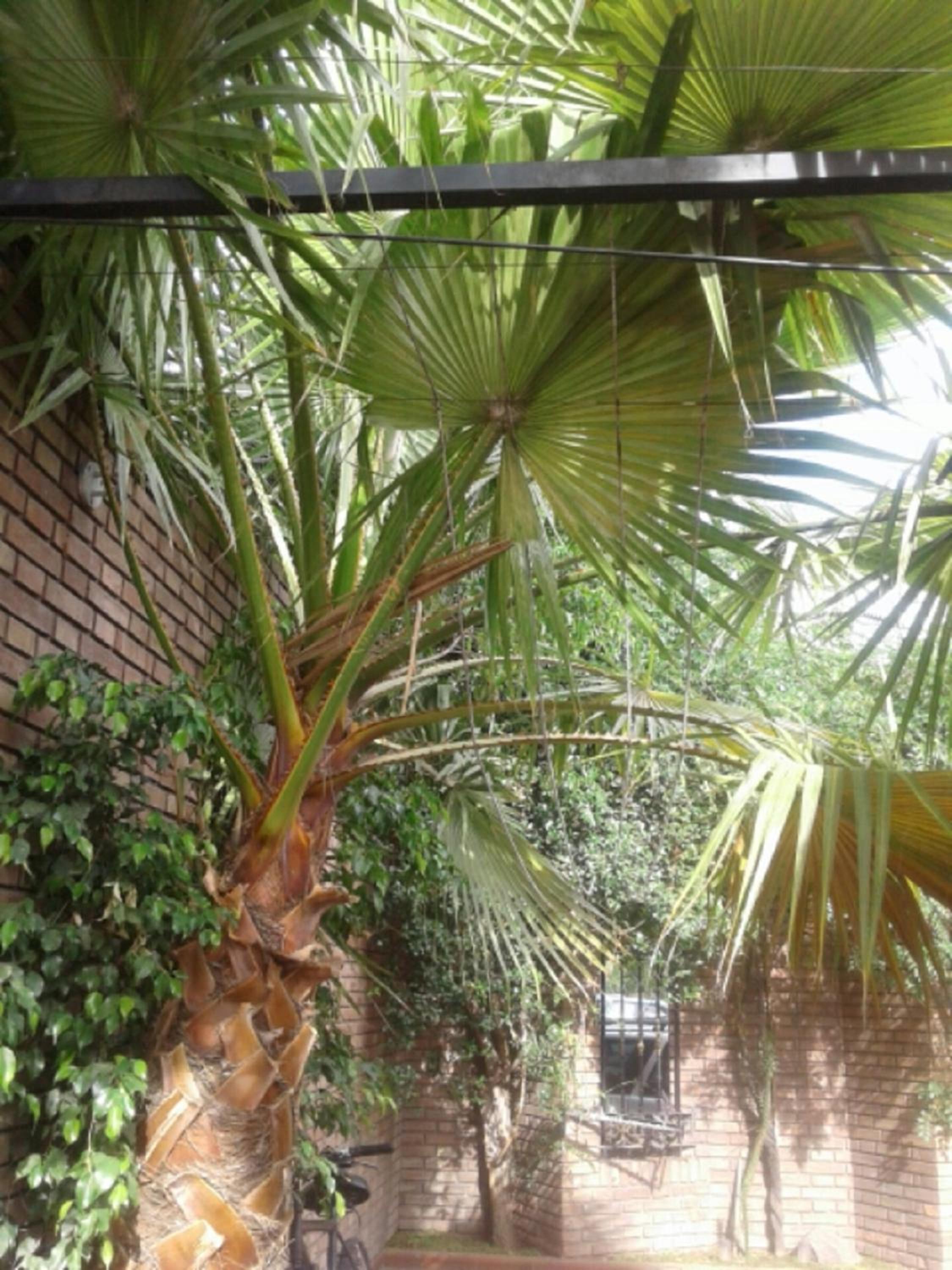 Hostel Ruca Potu