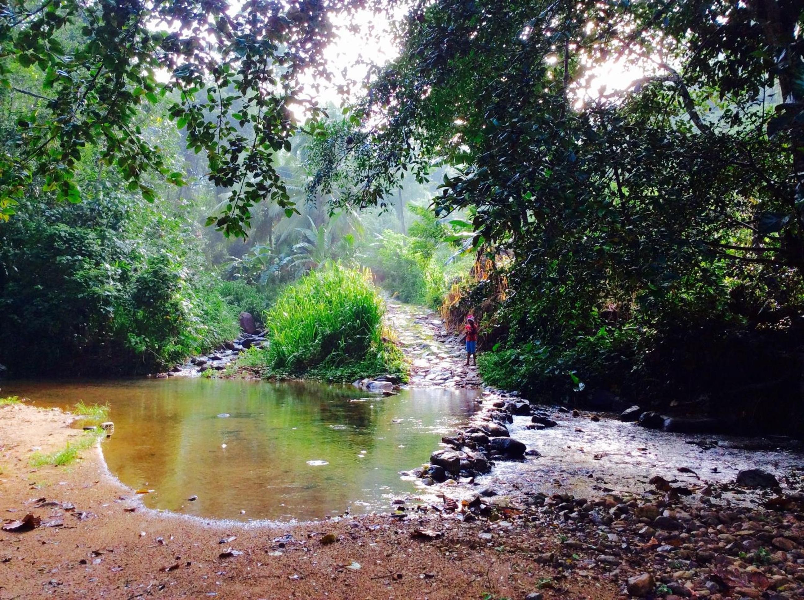 Natural Mystic Sanctuary