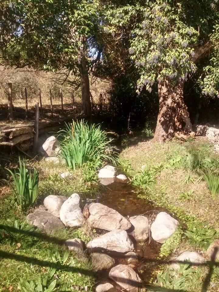 Entre Flores