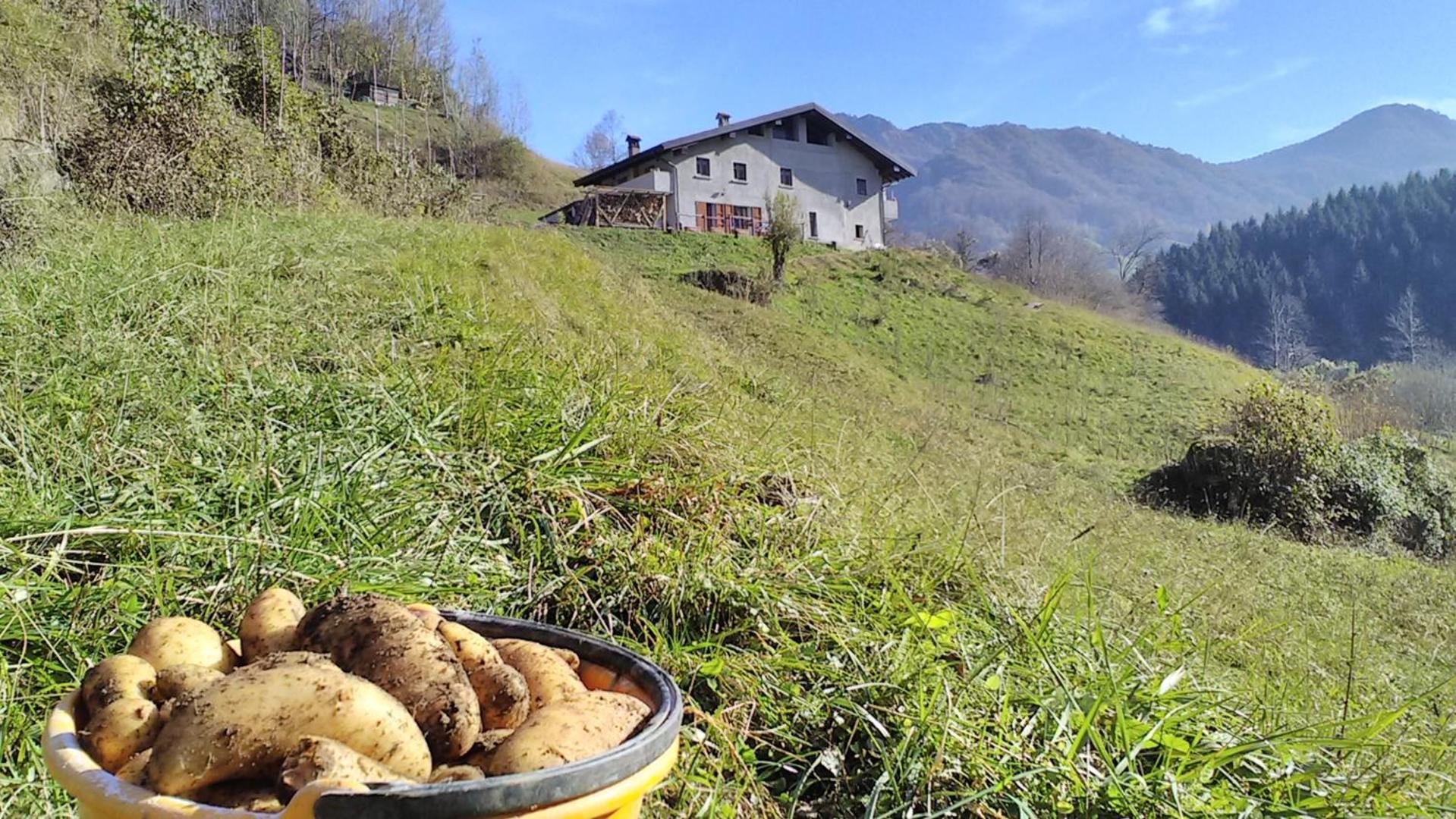 Agriturismo Cascina Cornella view 4