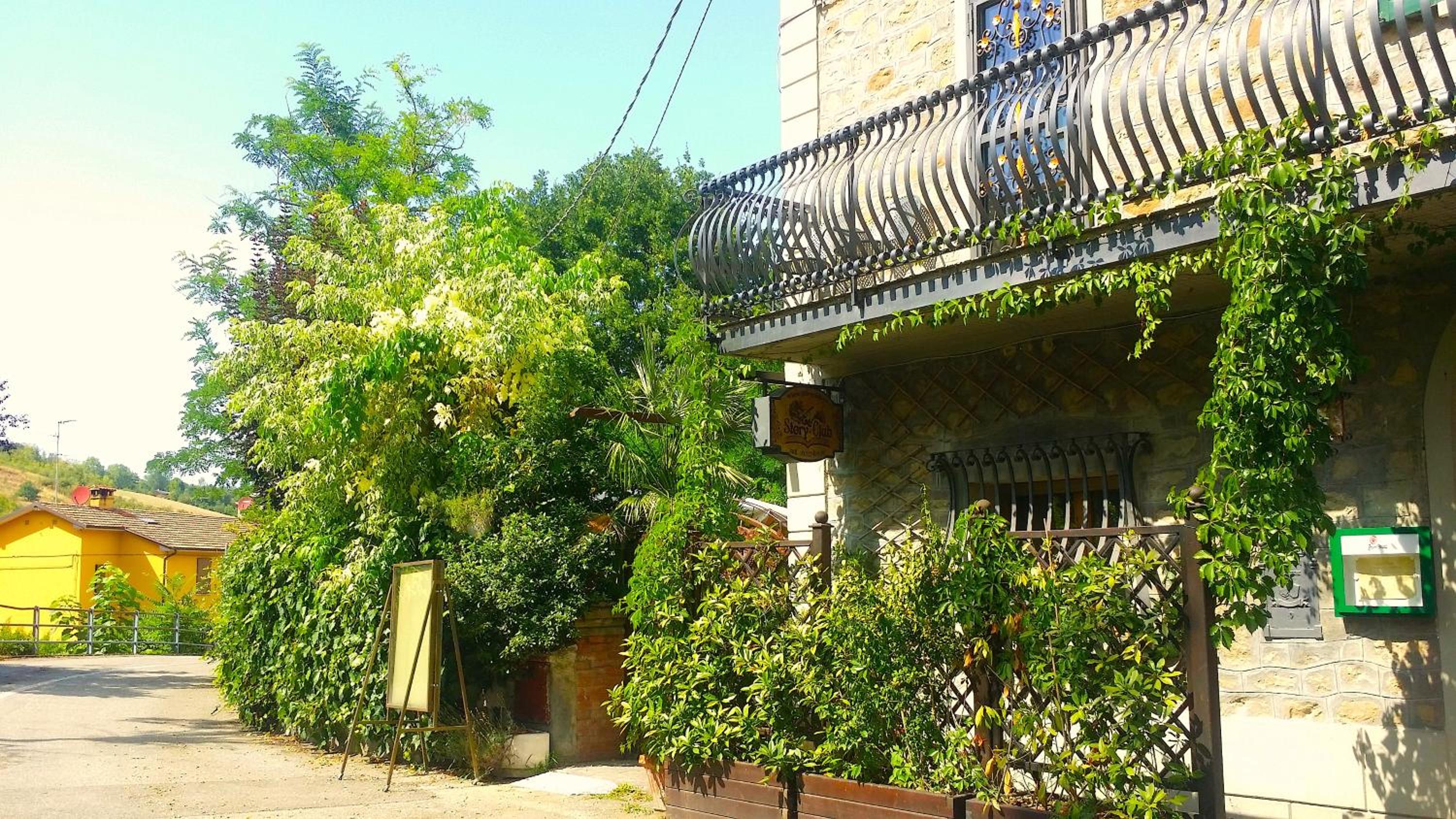 Photo 45