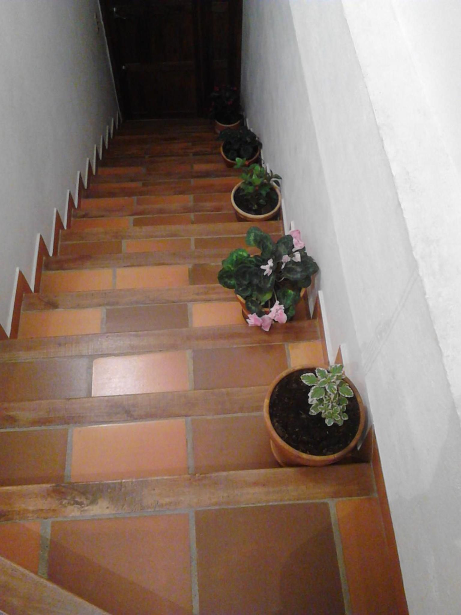 Cemandy Hostal