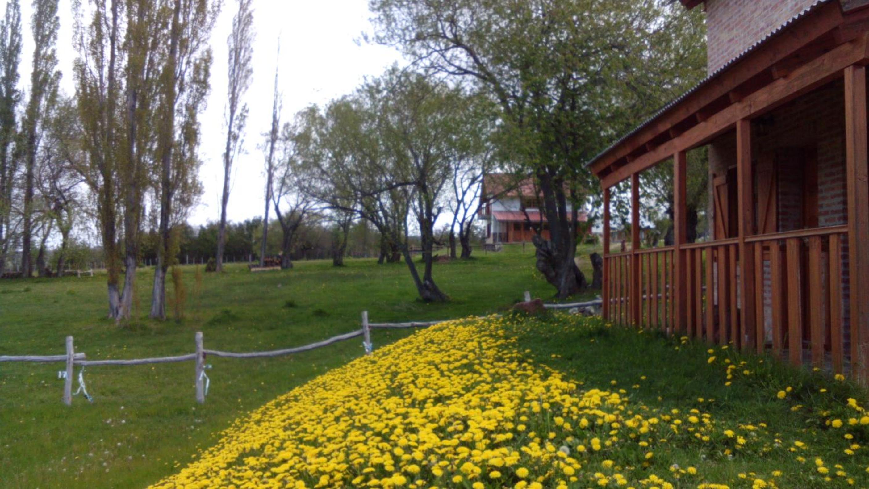 Posada Tajaluz