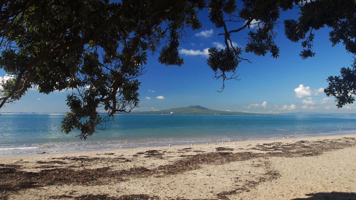 Sea La Vie in the Bays