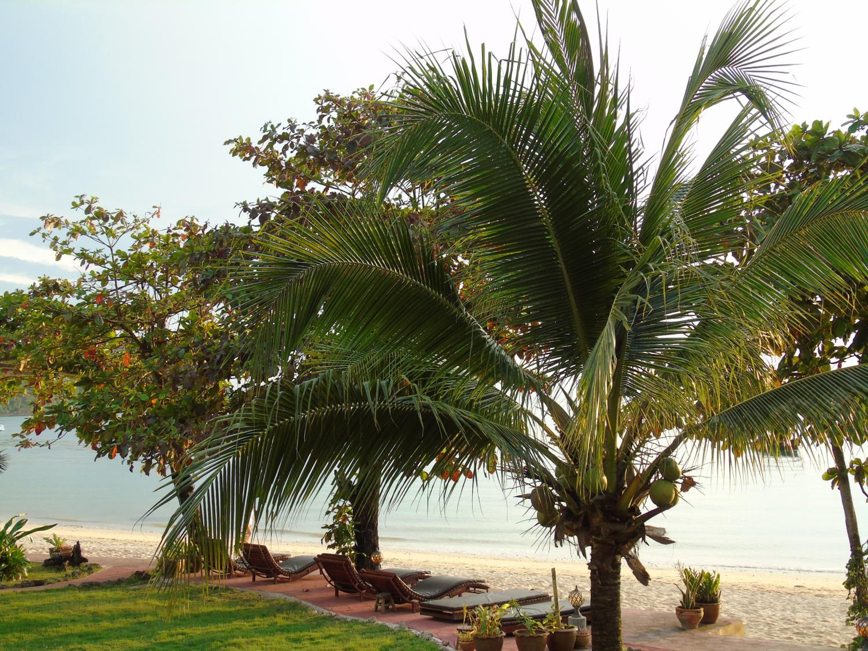 Yao Yai Beach Resort
