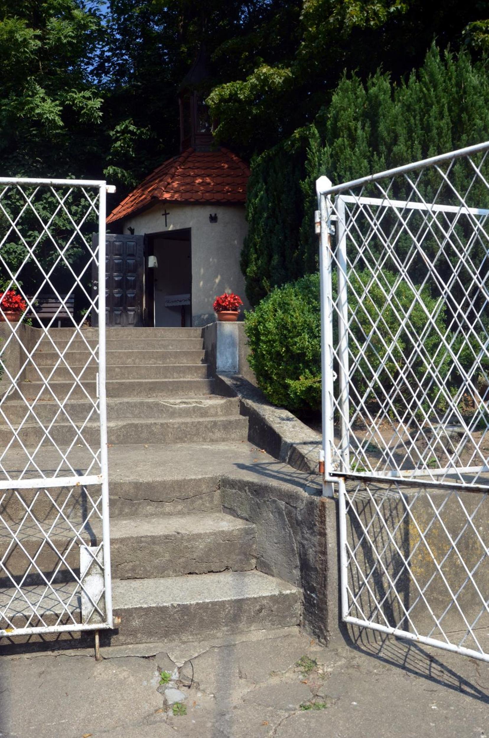 Photo 14
