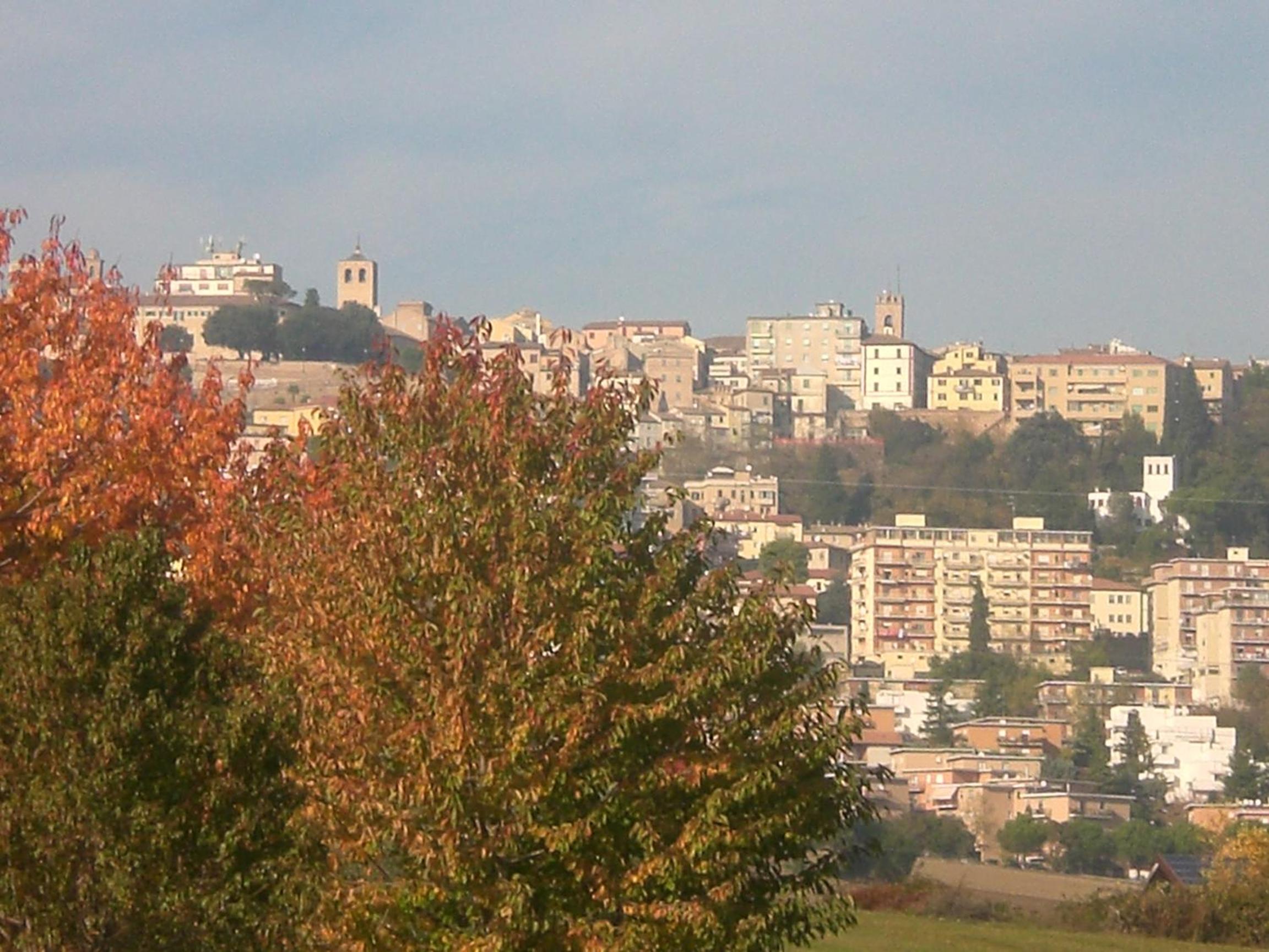 Photo 46