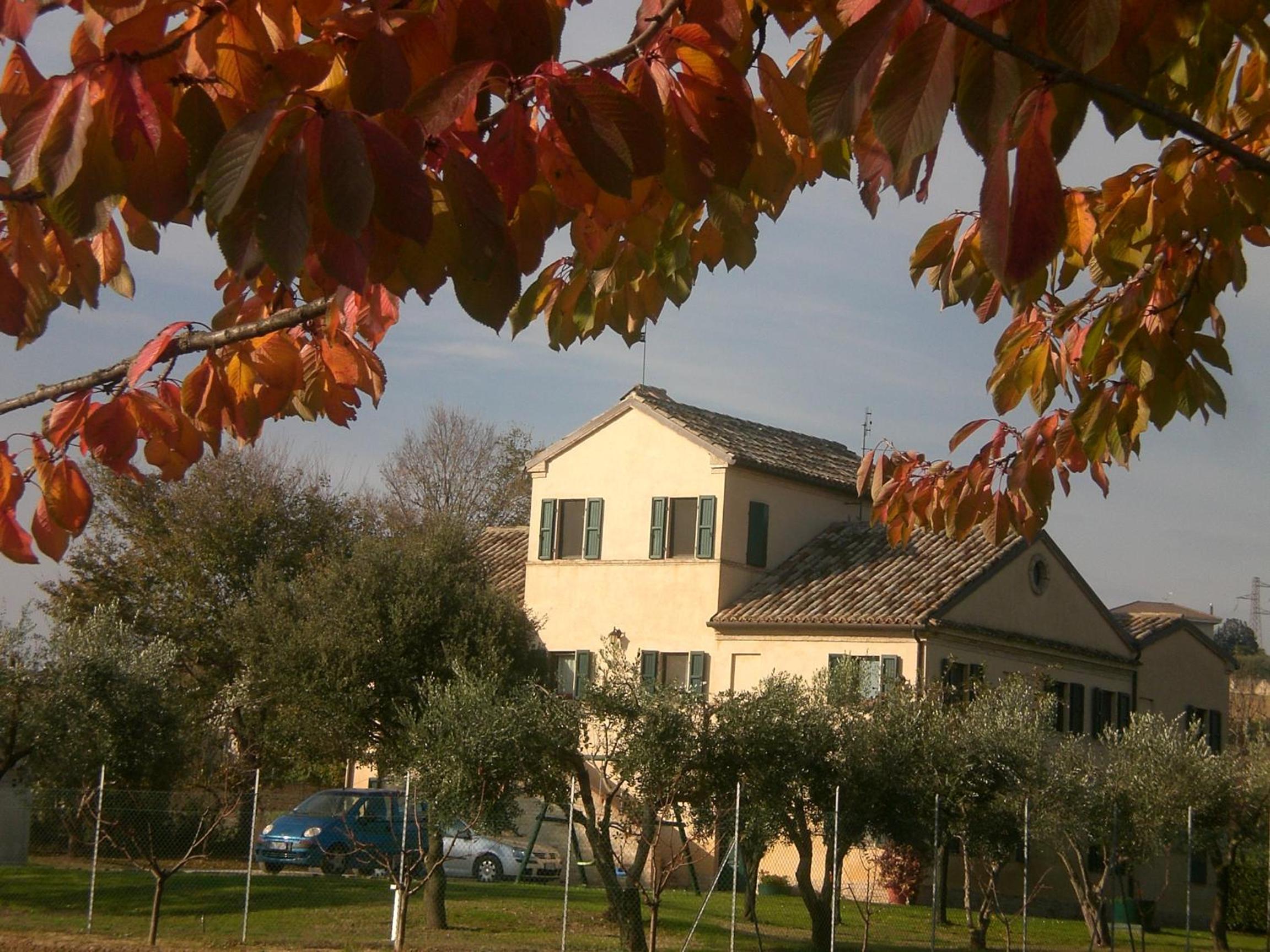 Photo 43