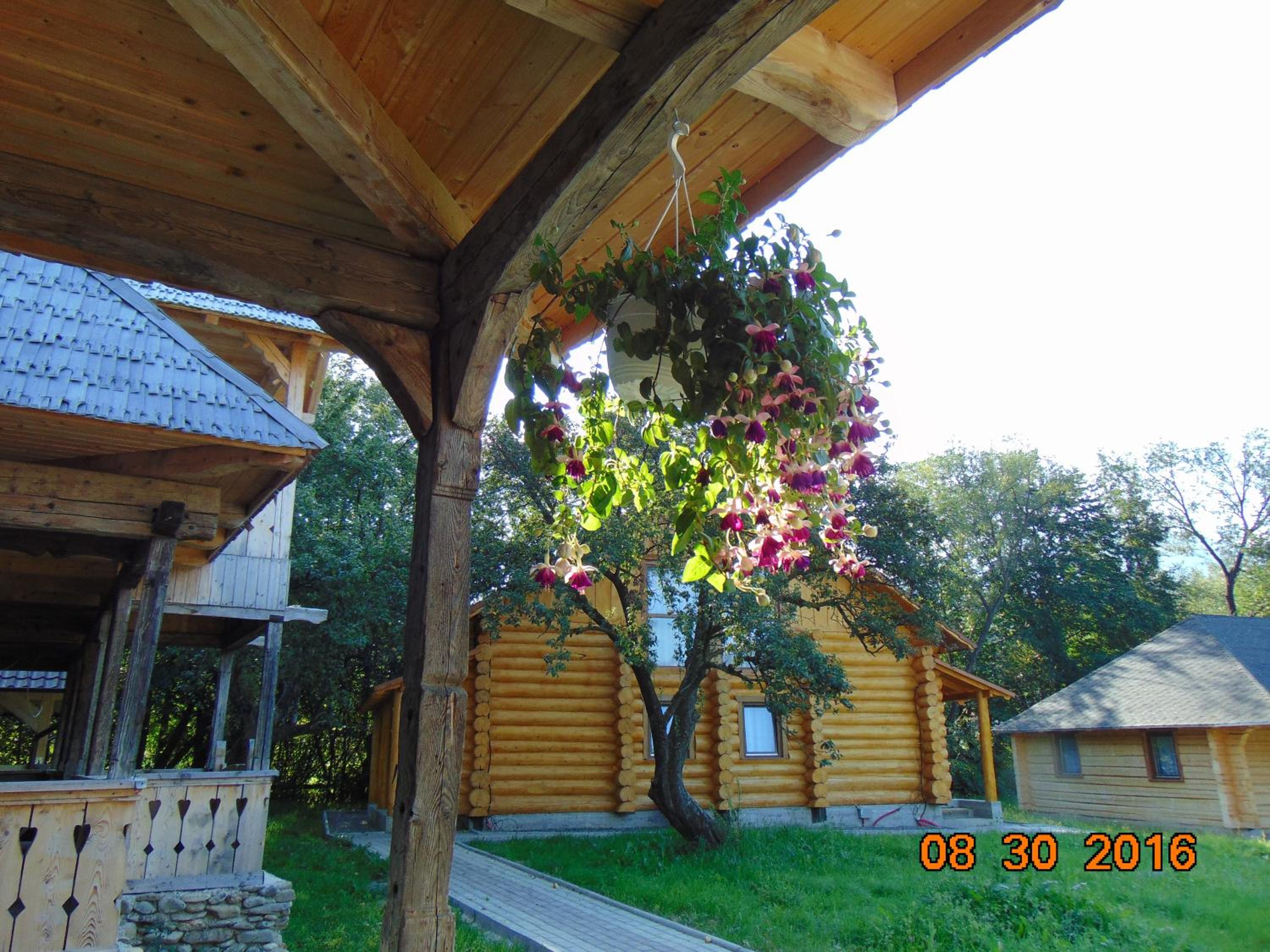 Photo 40