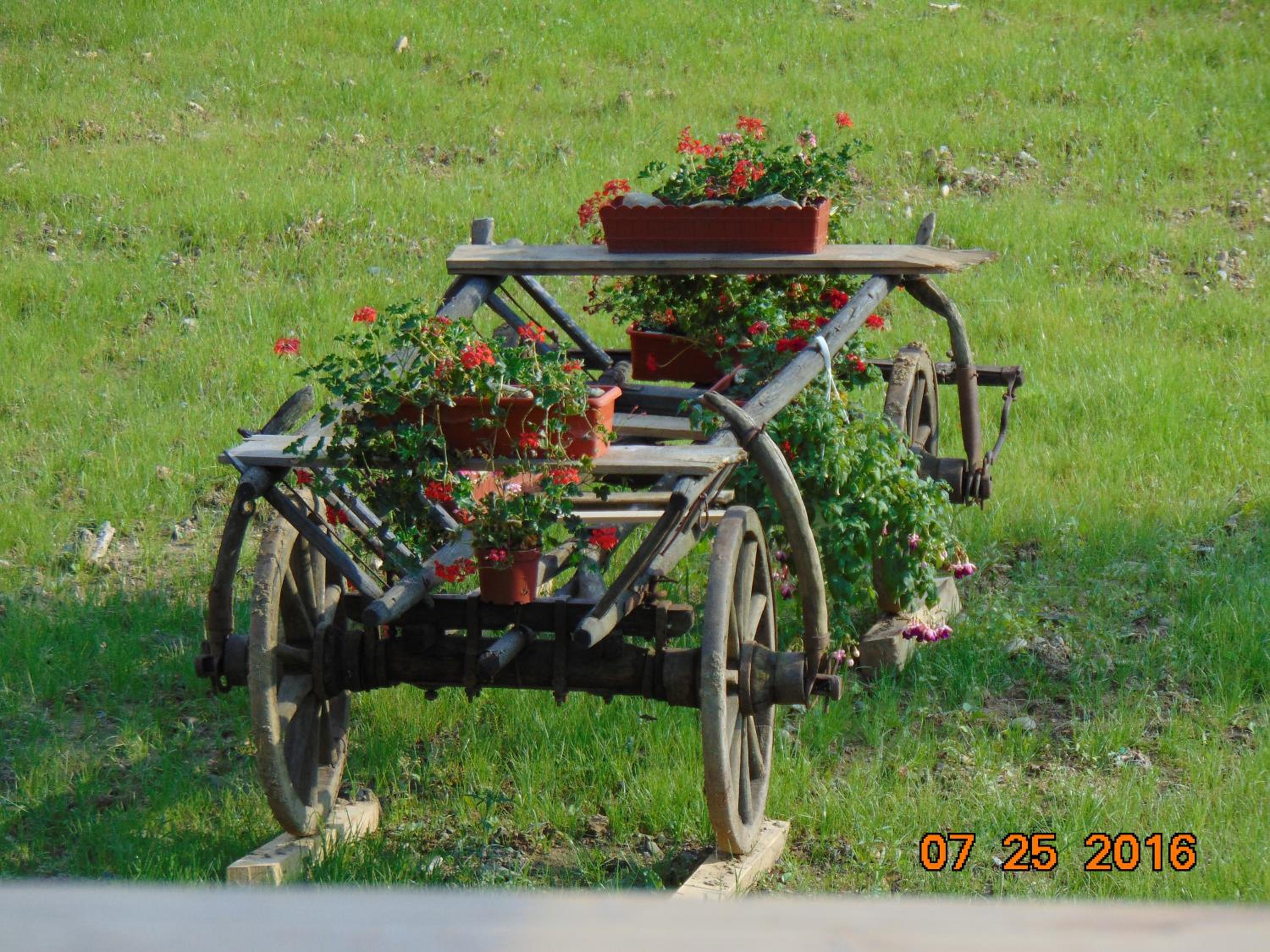 Photo 43