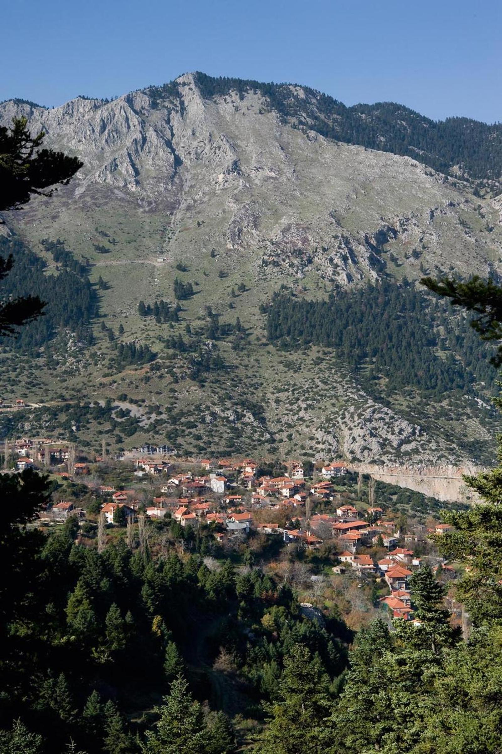 Photo 43
