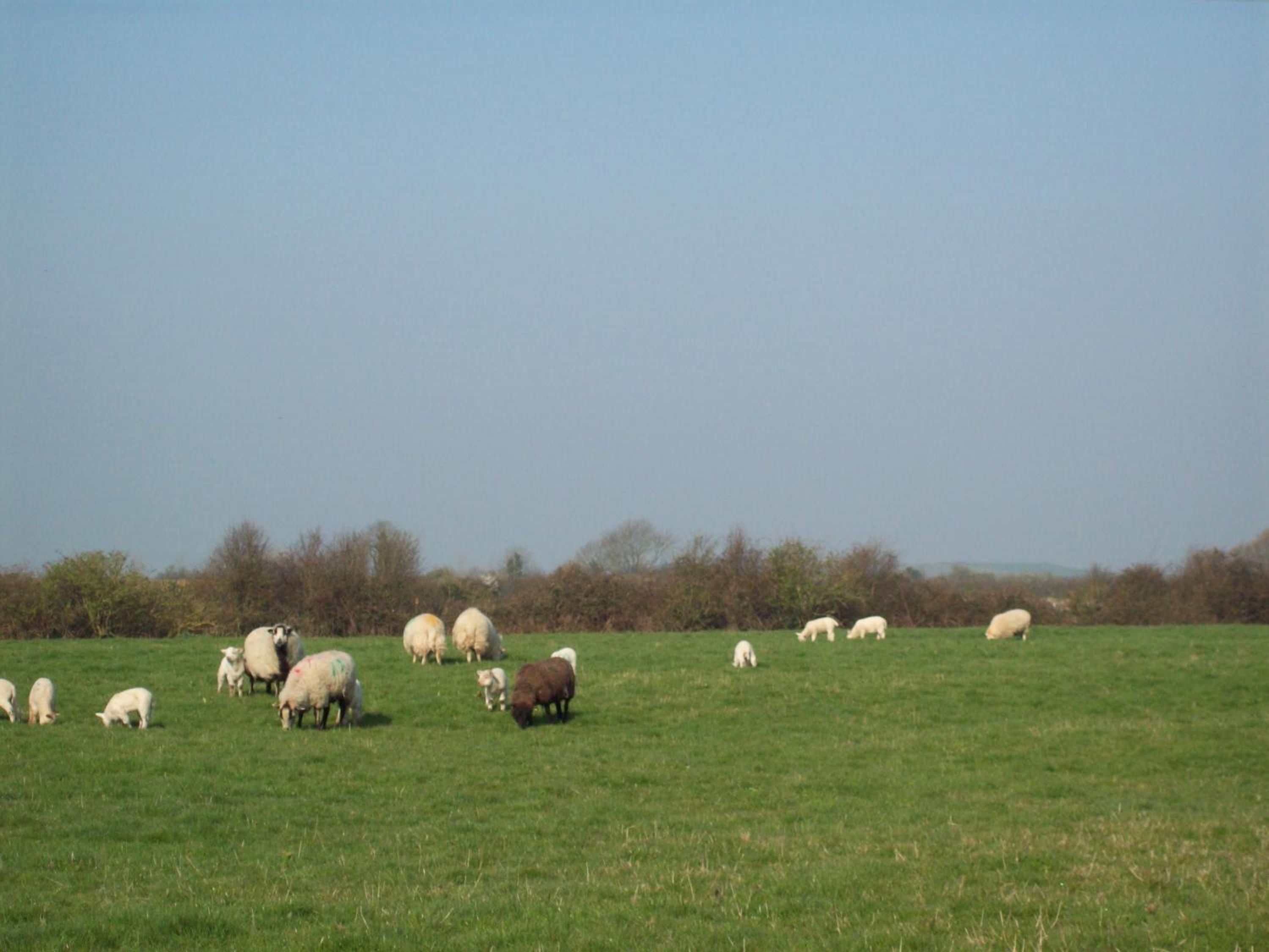 Photo 14