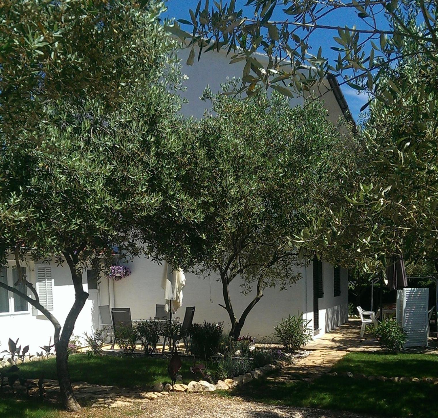 Photo 39