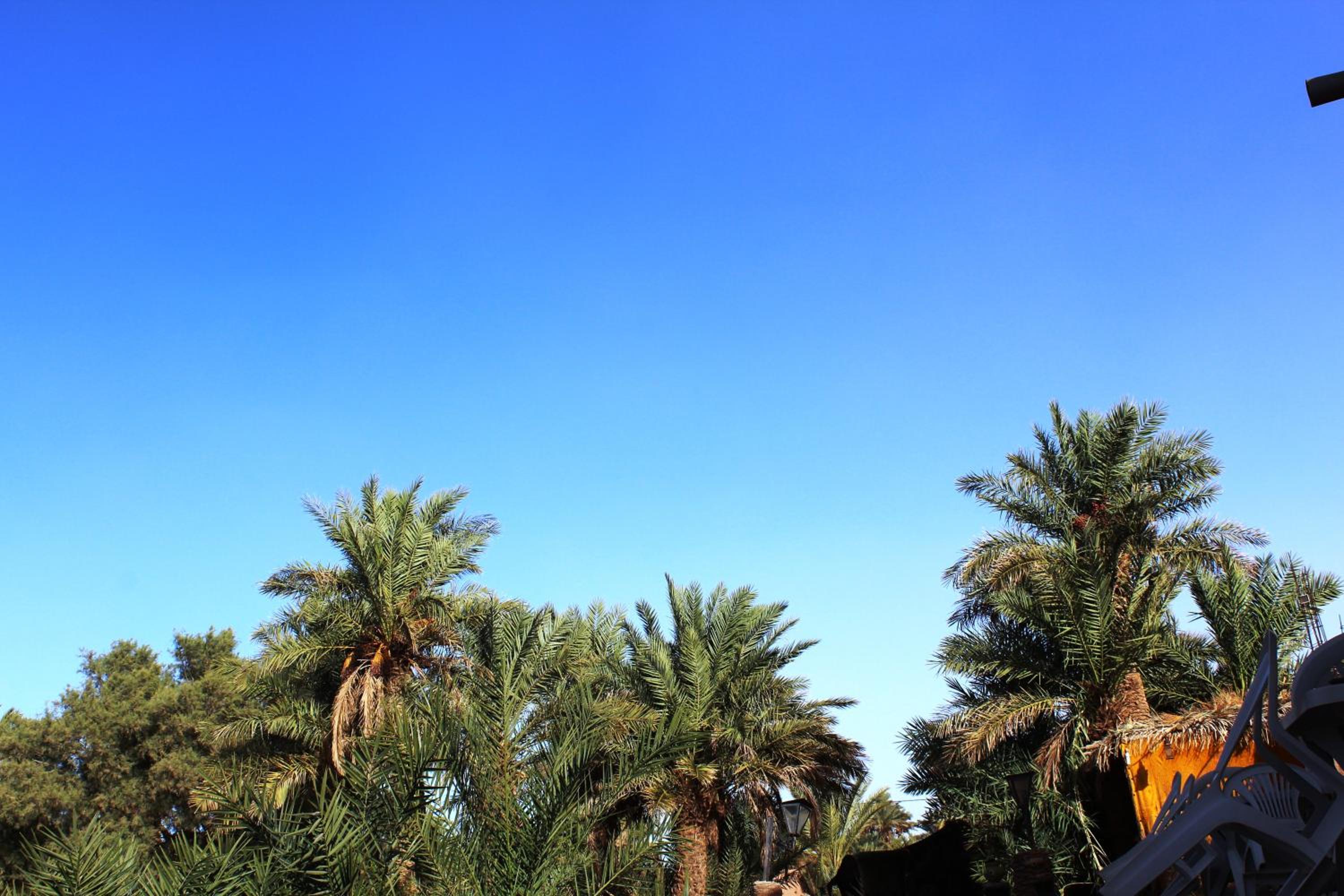 Kasbah Les Alizes Du Desert