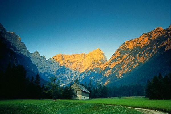Photo 23
