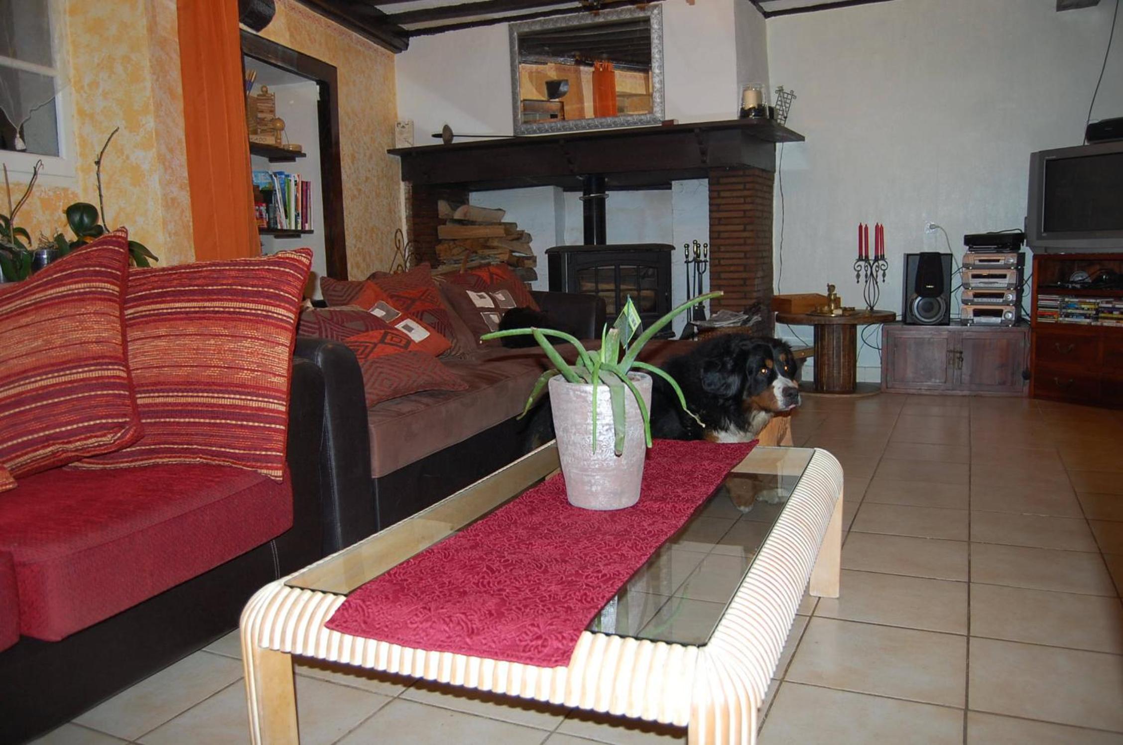 Photo 37