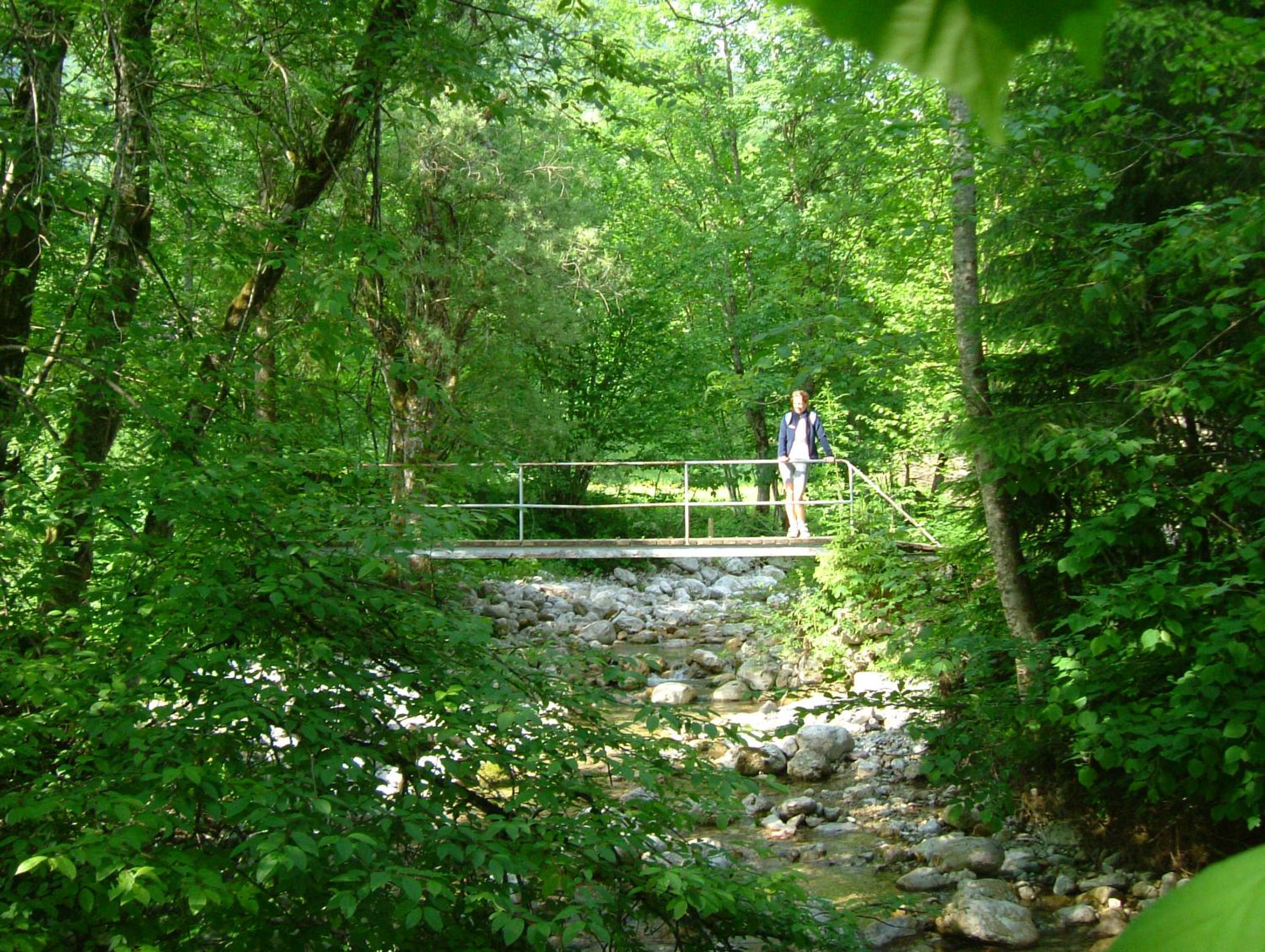 Photo 22