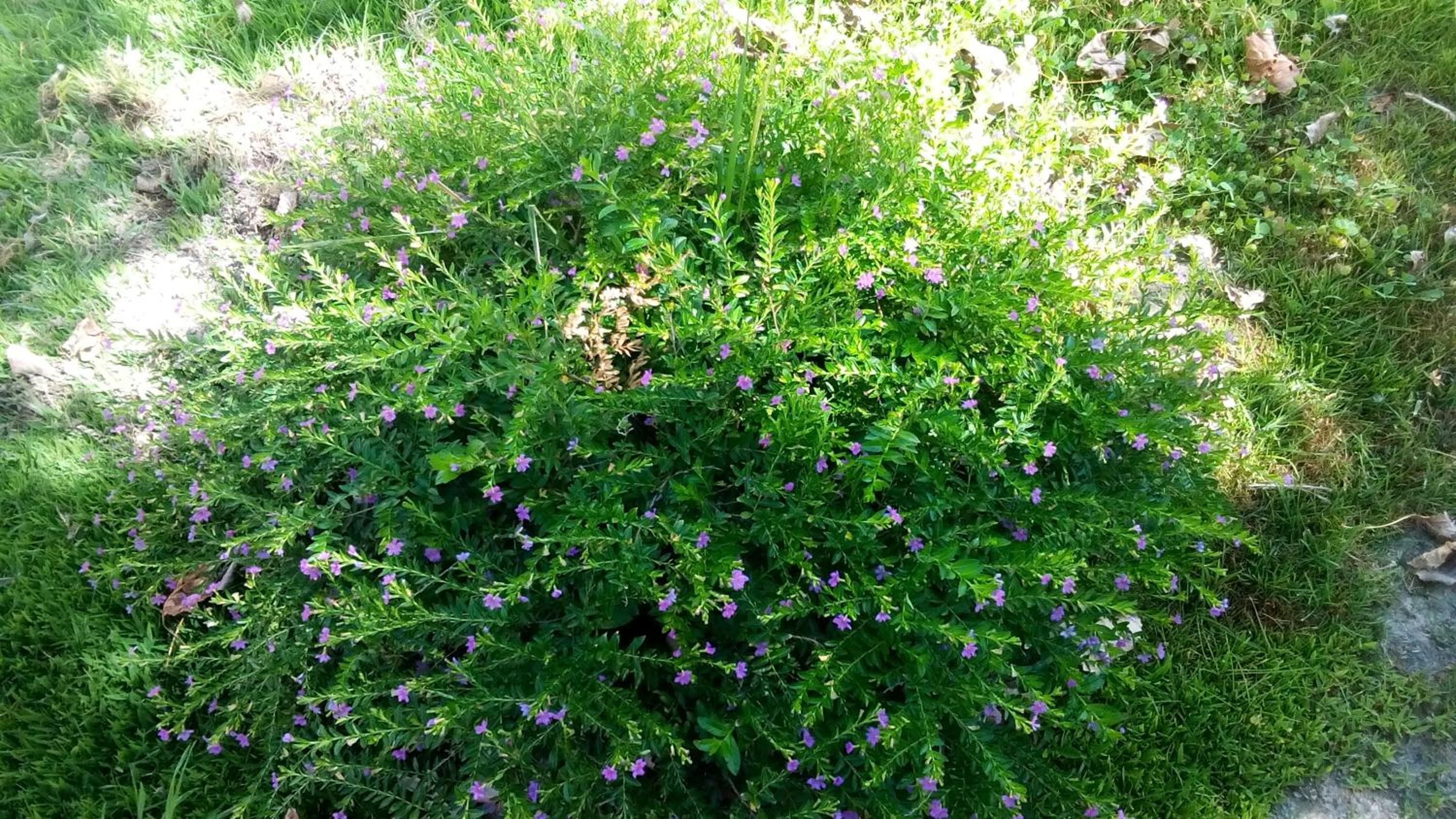 Photo 21