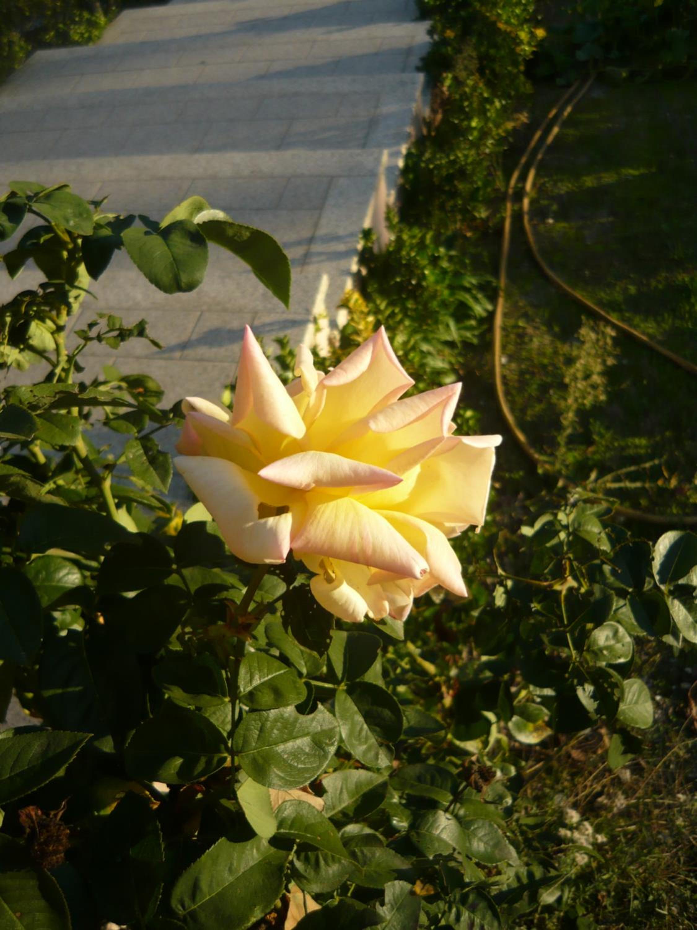 Photo 19