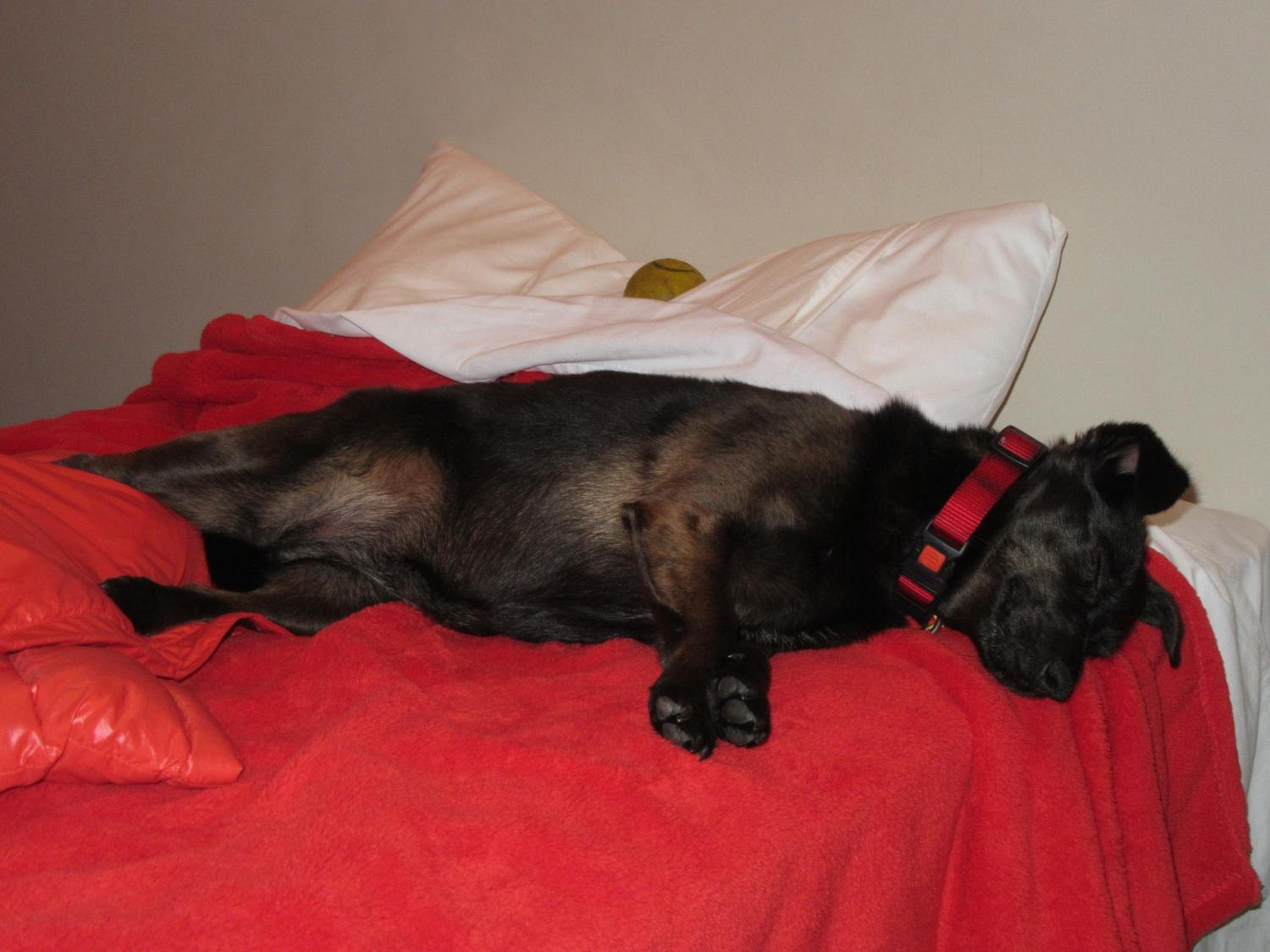 Photo 44