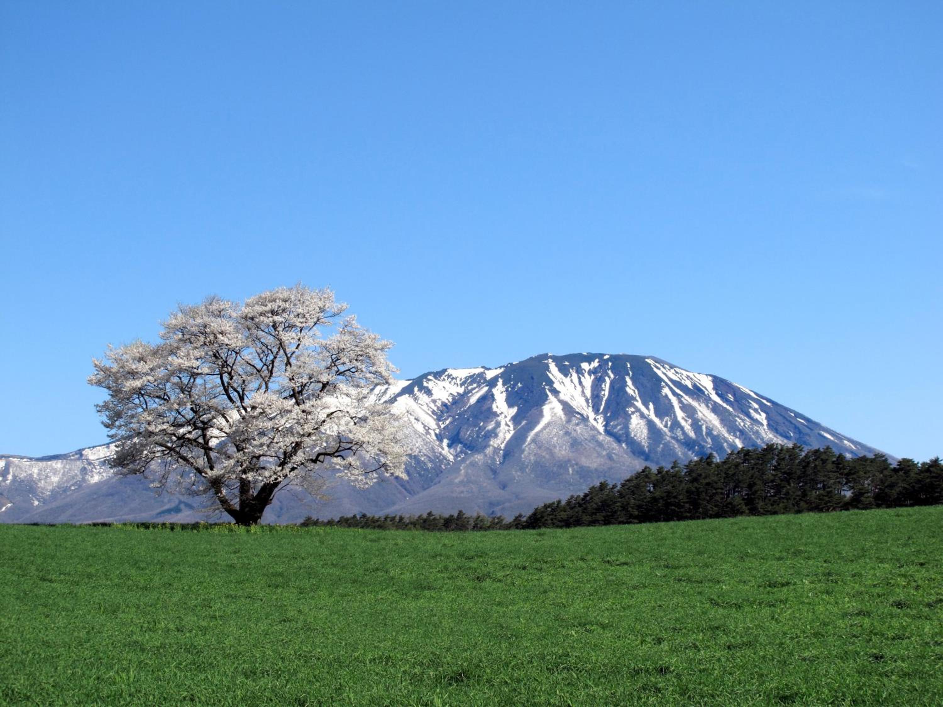 Pension Sanrinsha