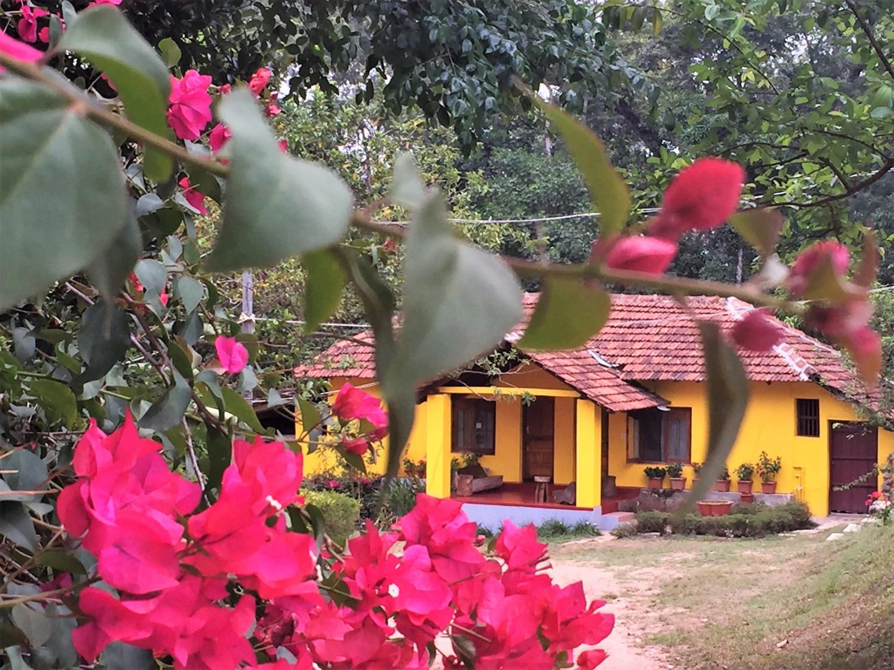 Guddadamane Homestay