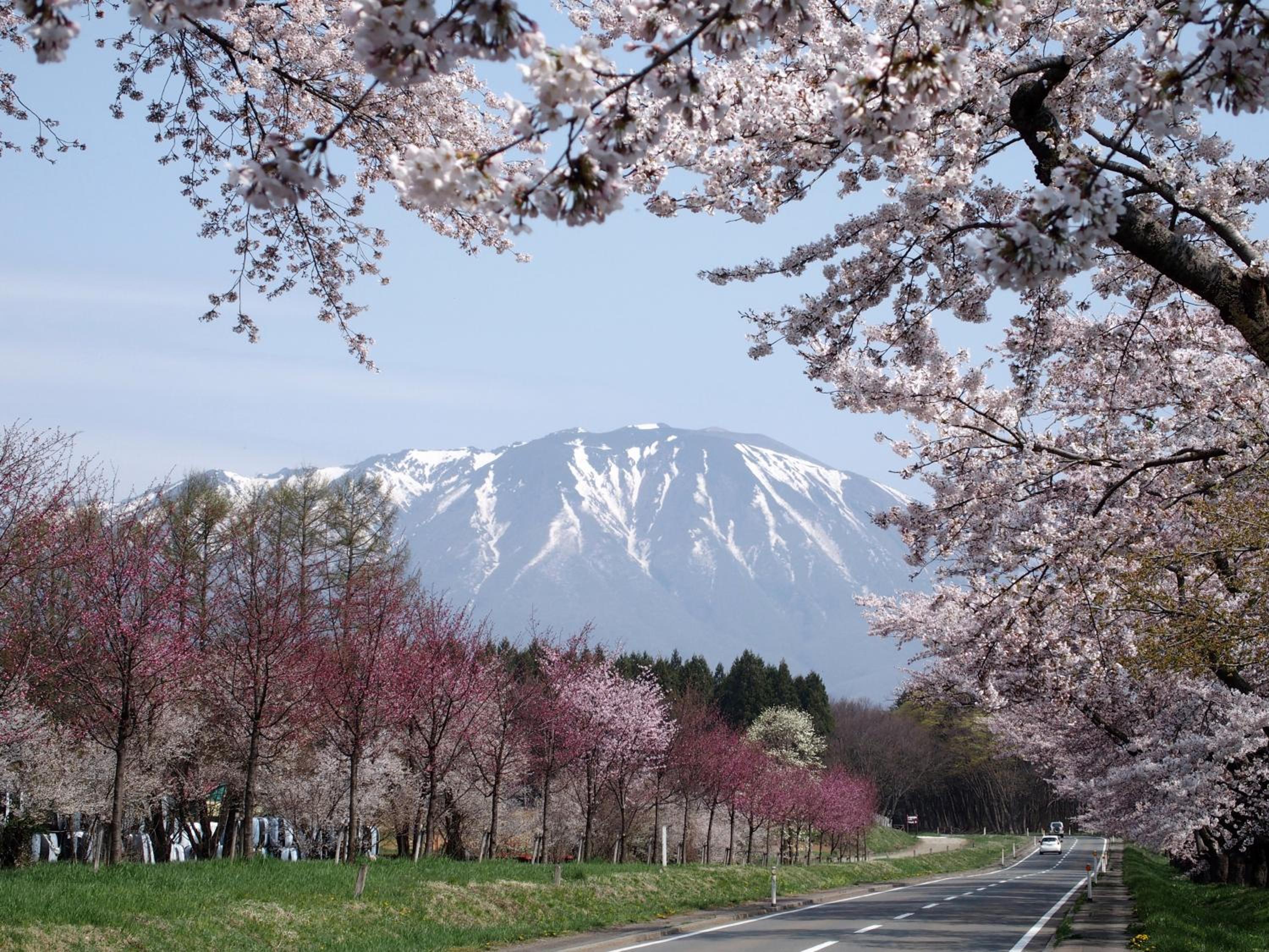 Pension Sanrinsha