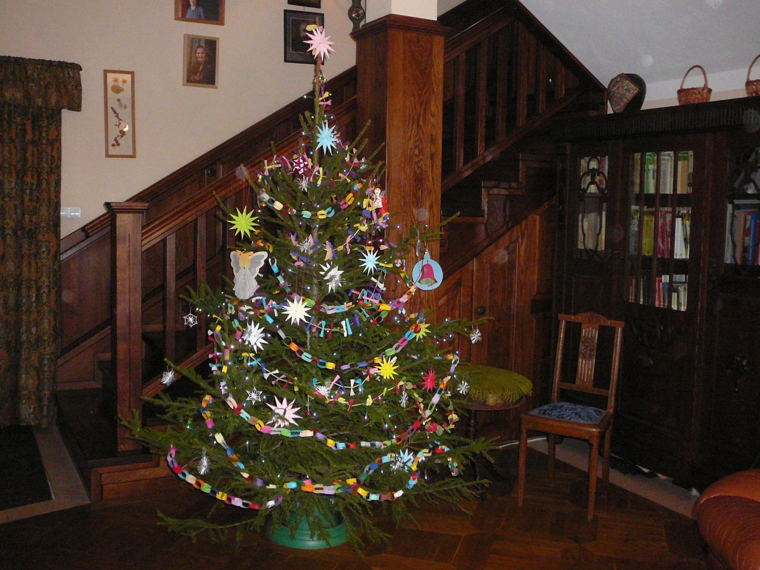 Photo 43