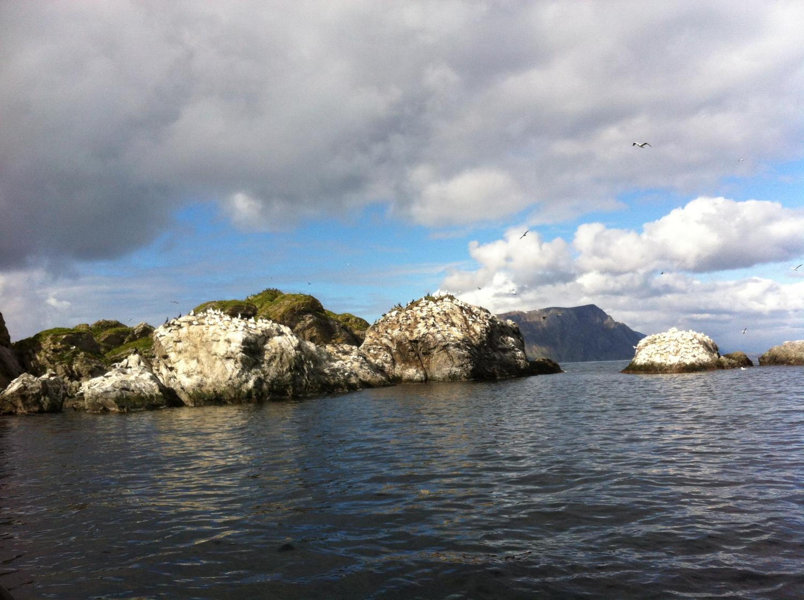 Photo 19
