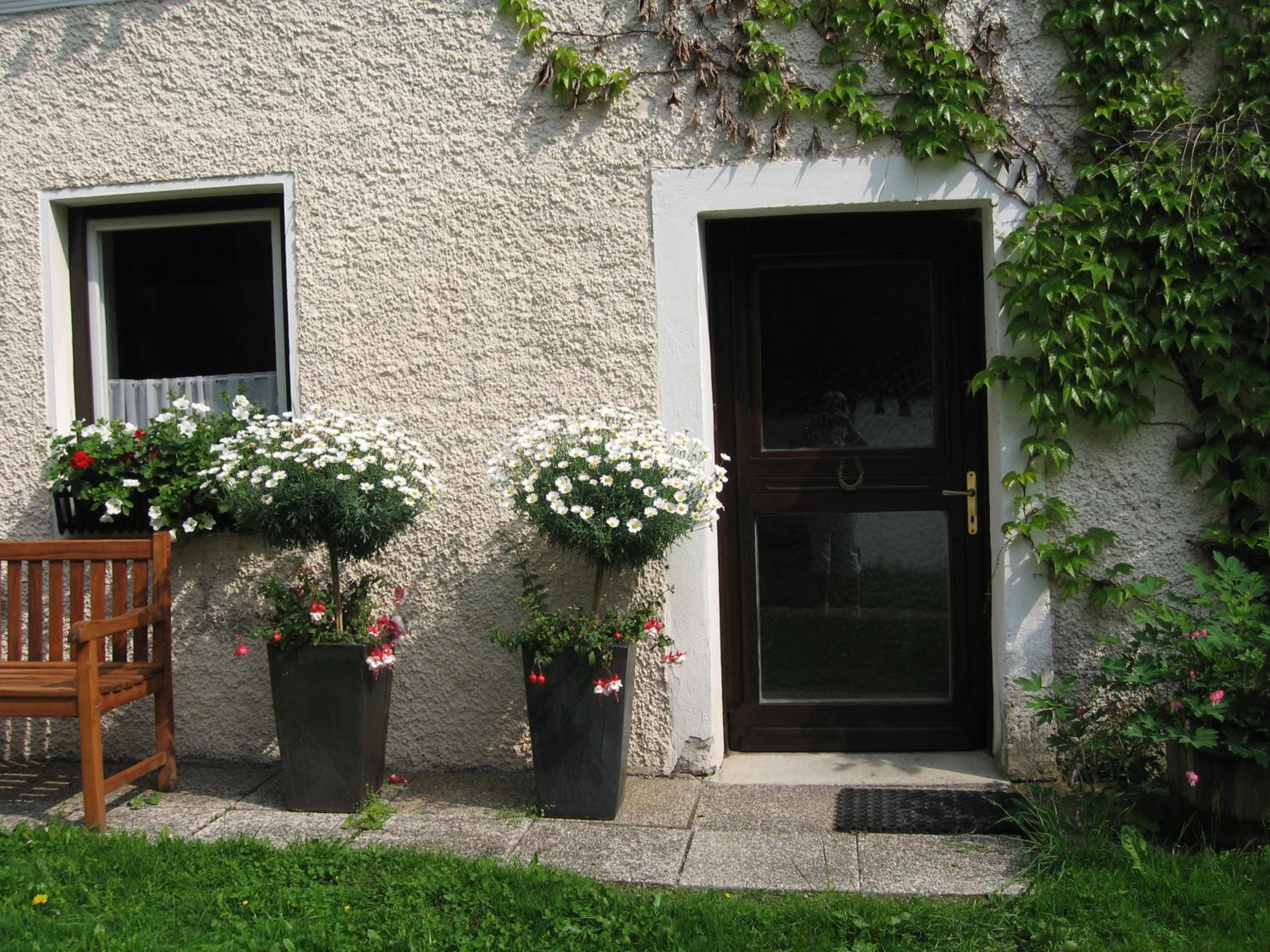 Photo 36