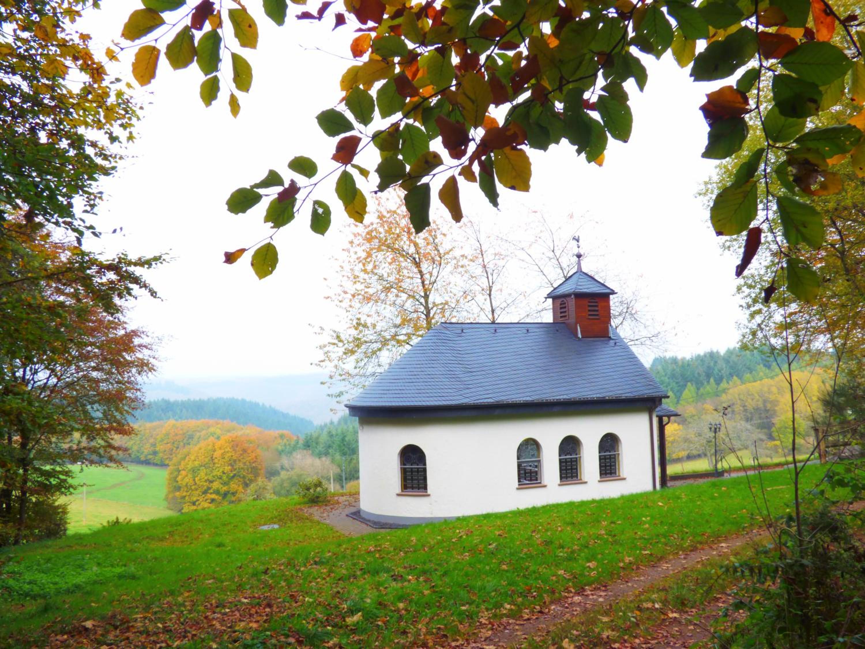 Ferienwohnungen Schenk Schmitz view 4