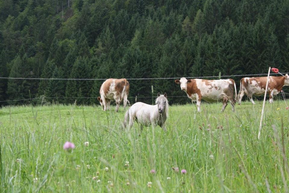 Hefenscherbauer