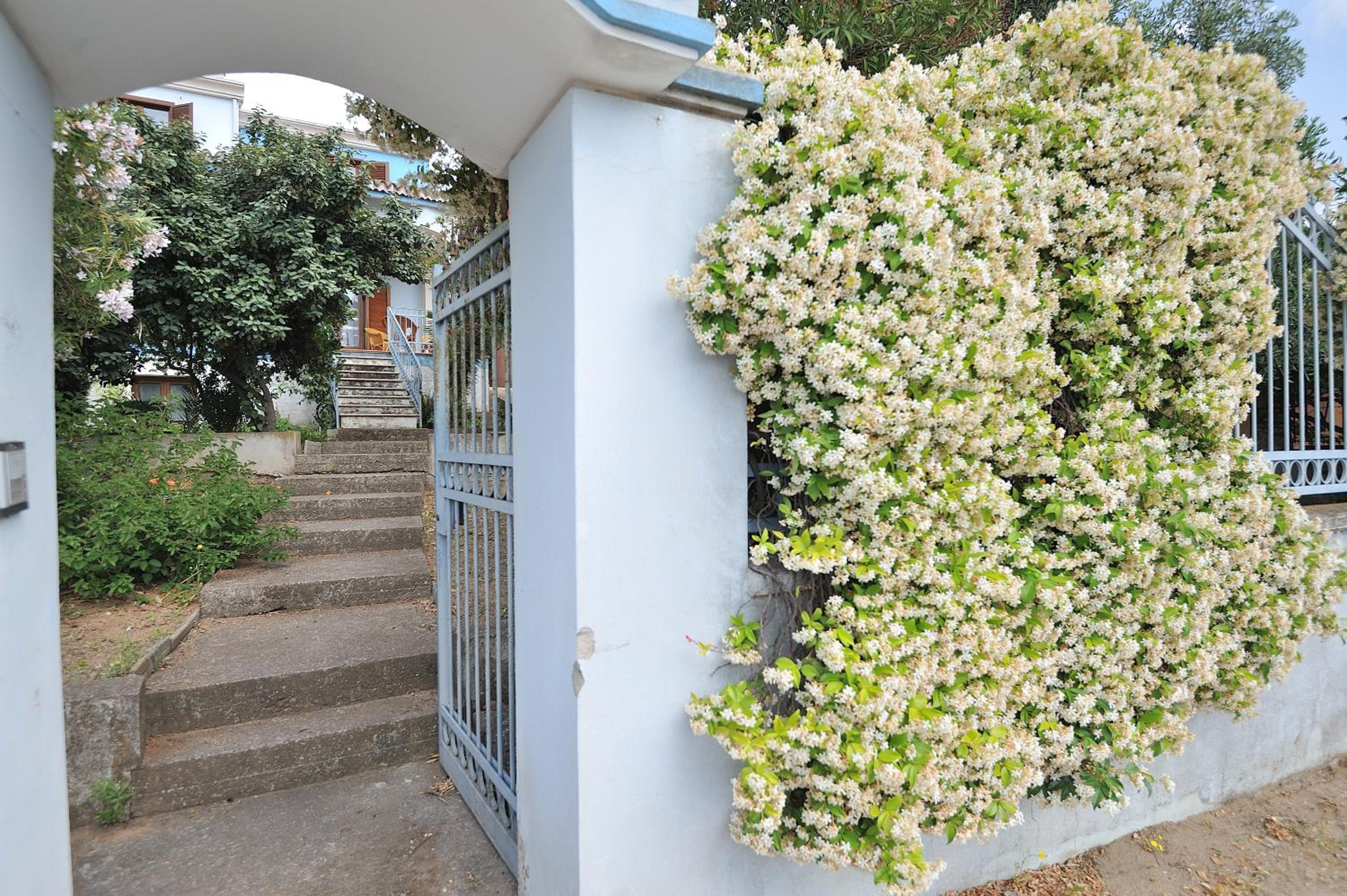 The Dream House in Sardinia