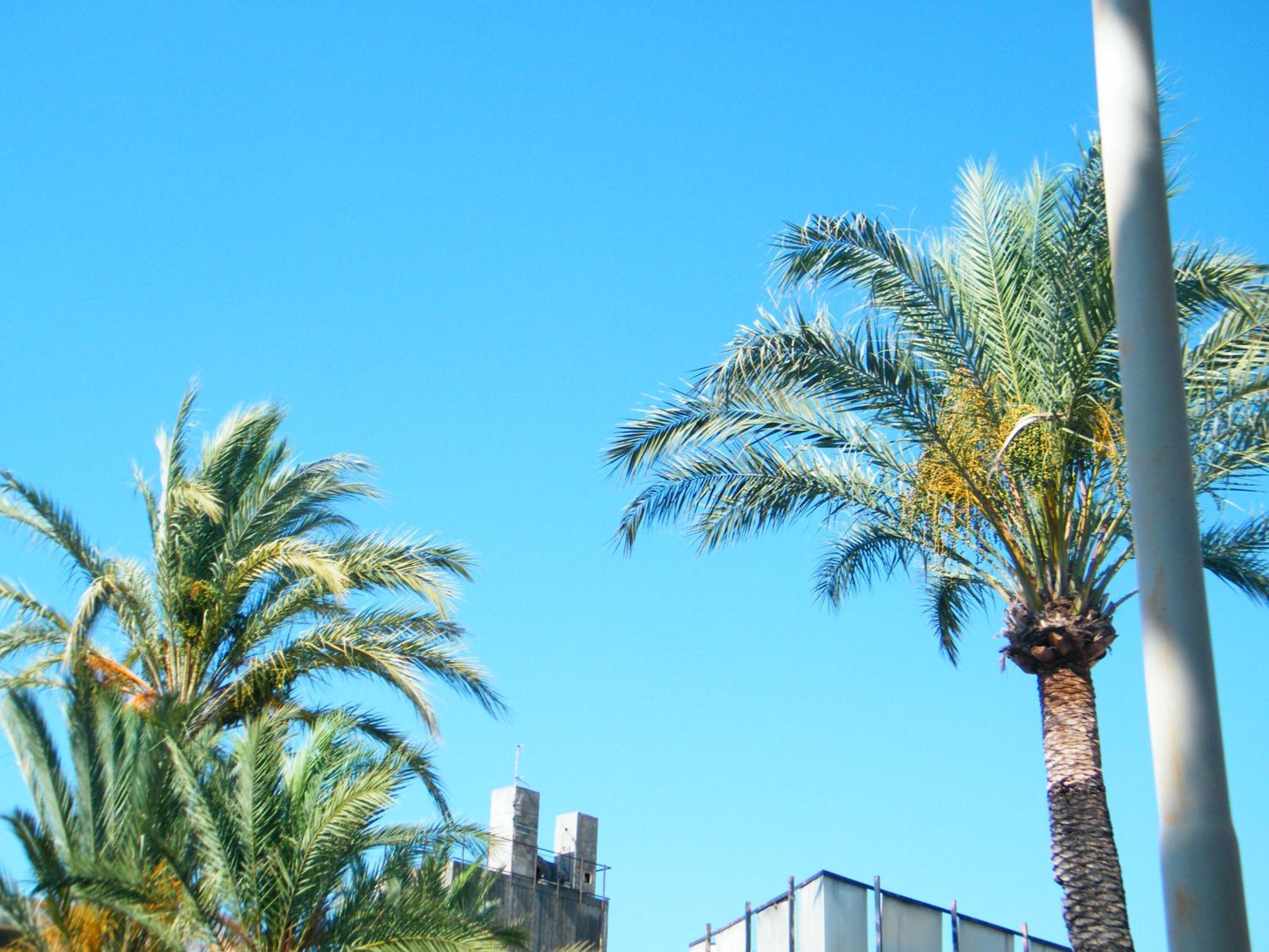 Appartamento Vacanze I Provenzali view 3