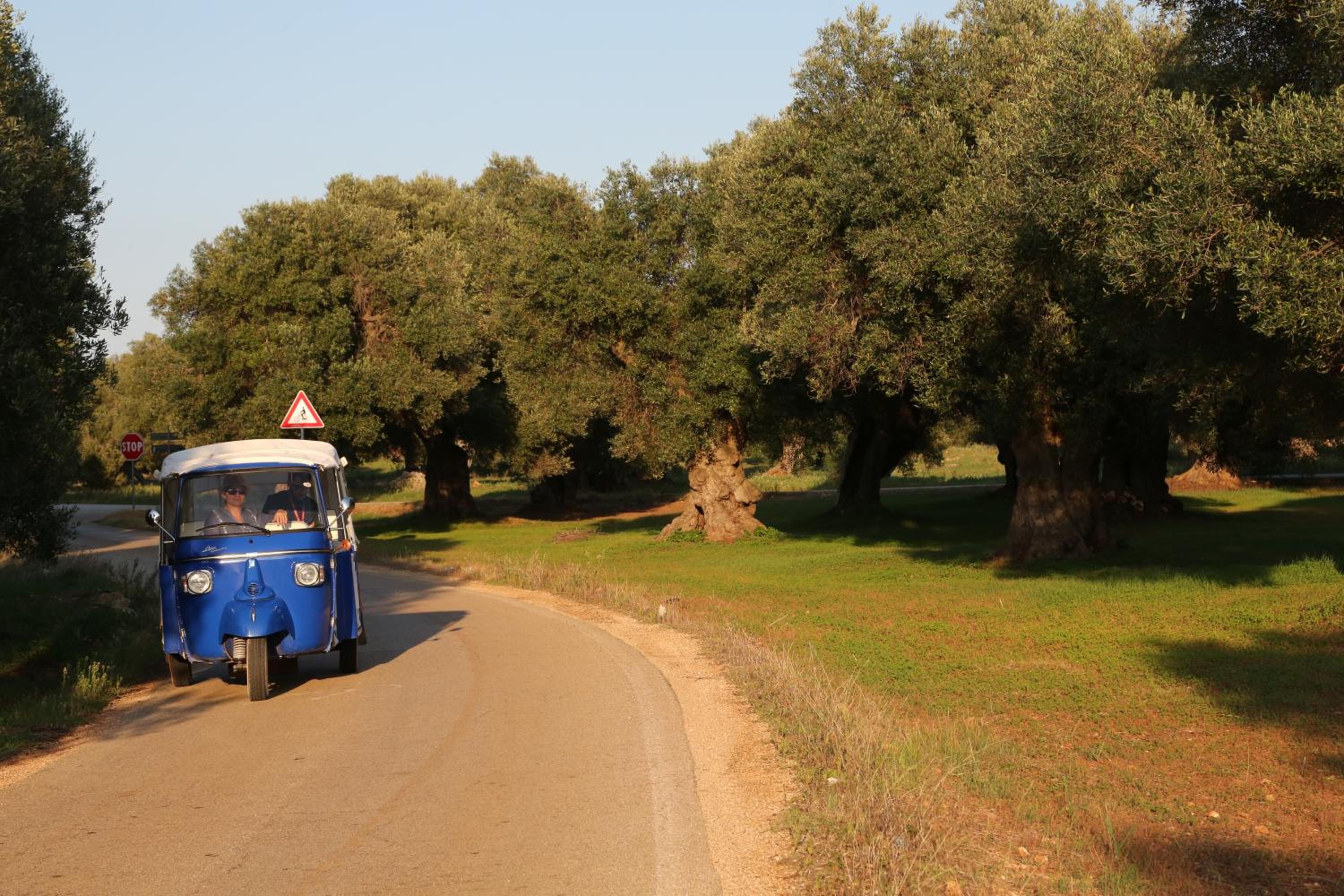 Masseria Le Terrazze di Serranova